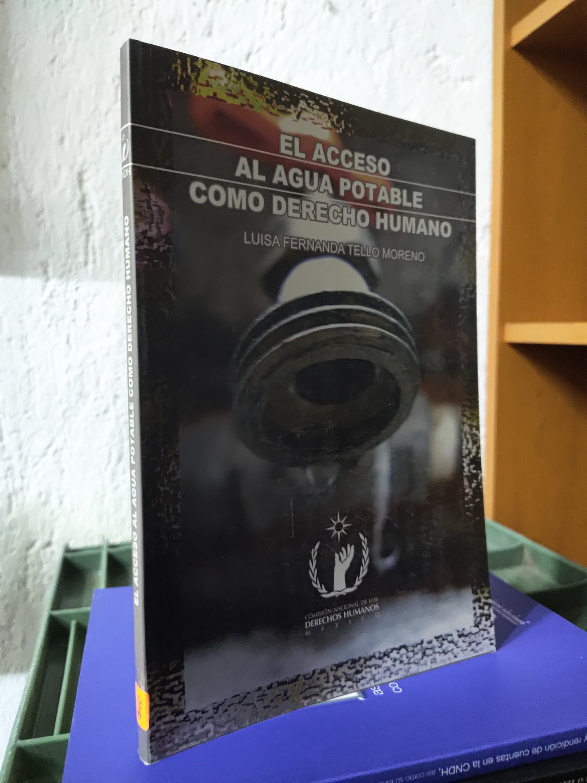 EL ACCESO AL AGUA POTABLE COMO DERECHO HUMANO POR LUISA FERNANDA TELLO MORENO USADO DERECHO JUAREZ 515