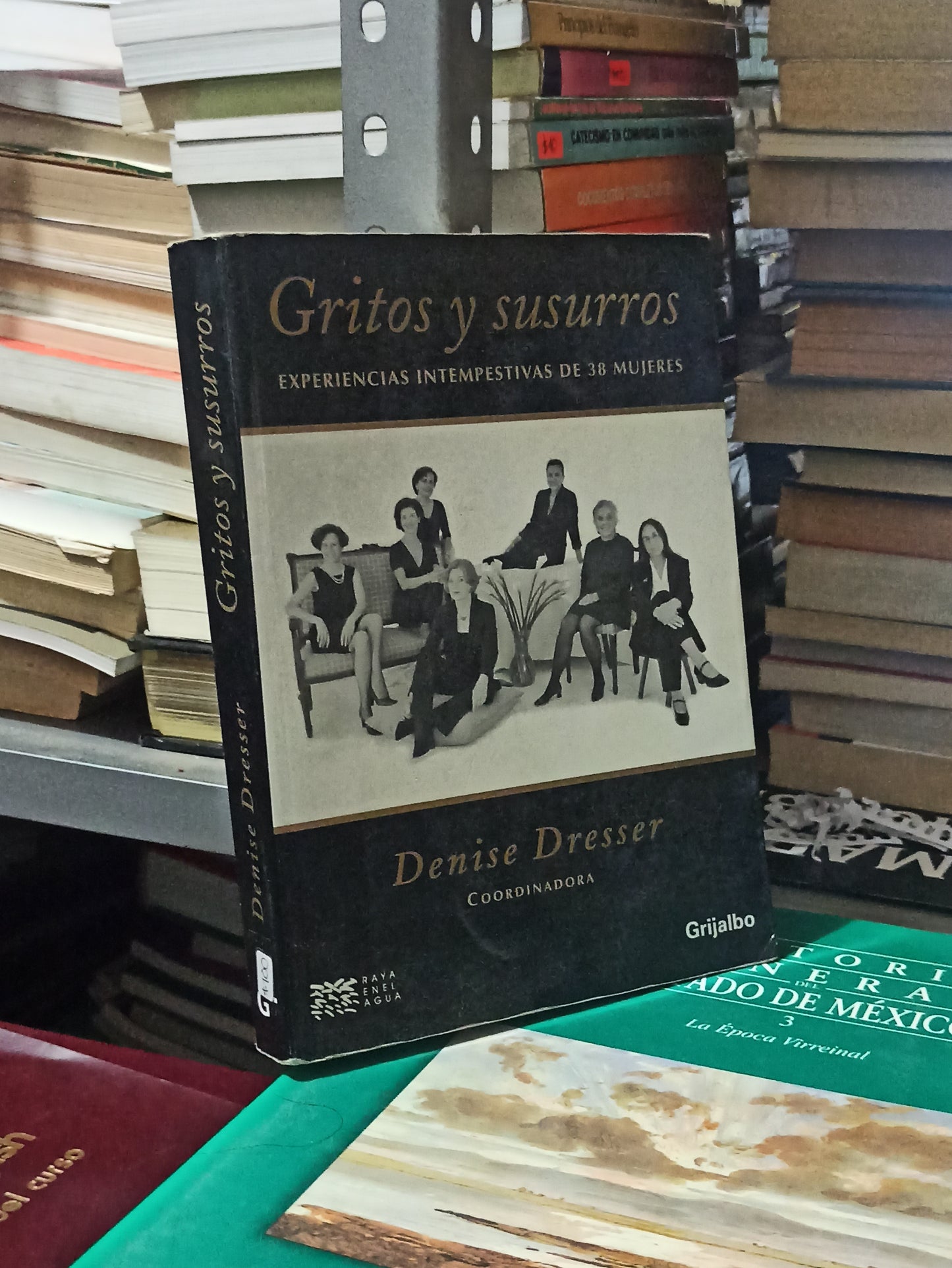 GRITOS Y SUSURROS POR DENISE DRASSER USADO NOVELAS JUÁREZ