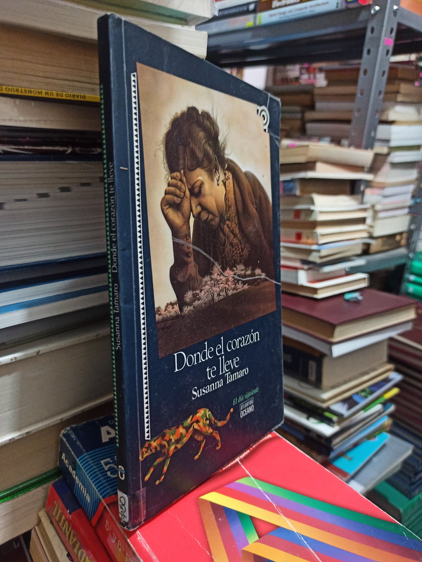 DÓNDE EL CORAZÓN TE LLEVE POR SUSANNA TAMARO USADO NOVELAS JUÁREZ