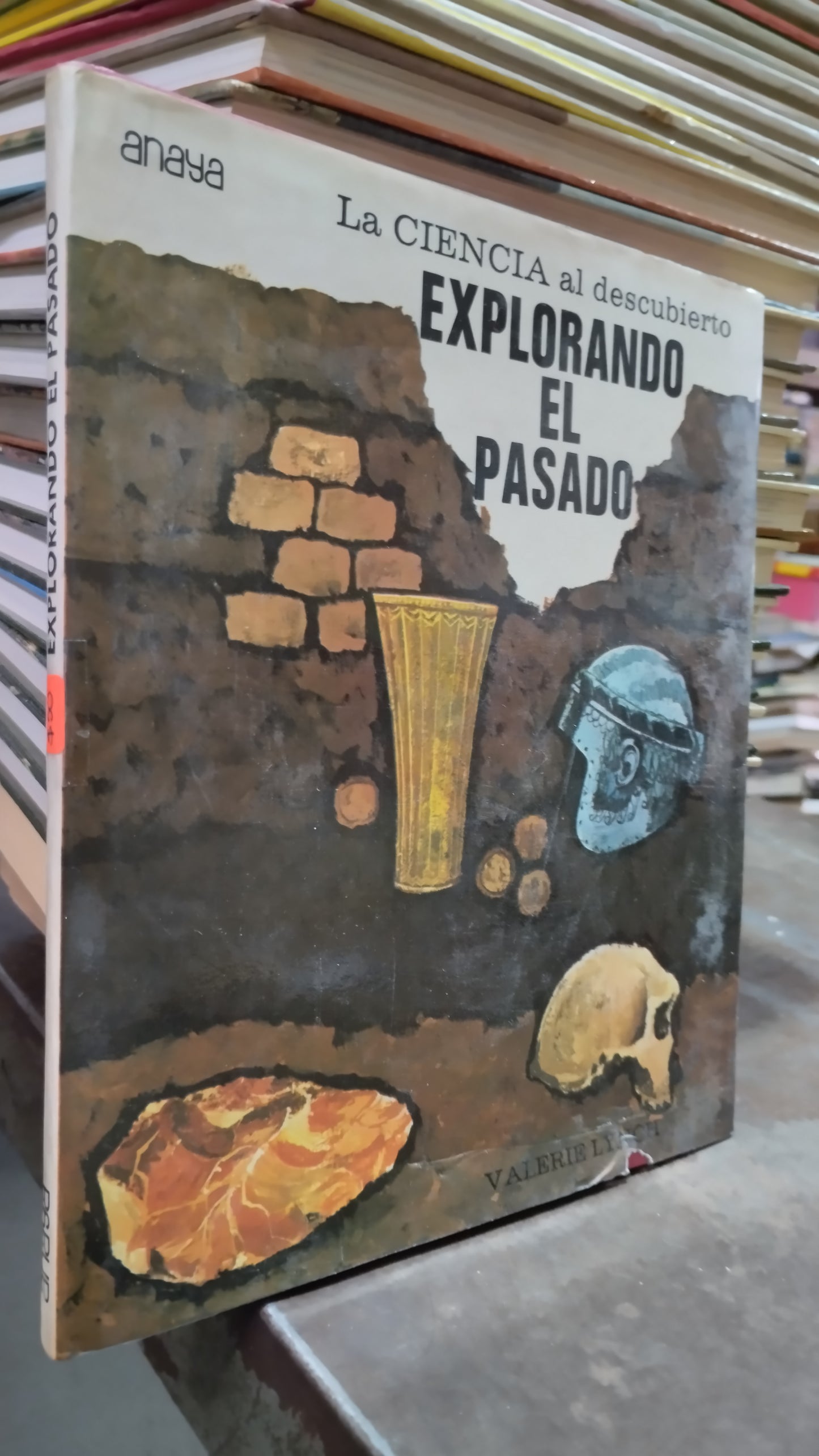 EXPLORANDO EL PASADO POR EDITORIAL ANAYA LIBRO USADO CIENCIA ALDAMA
