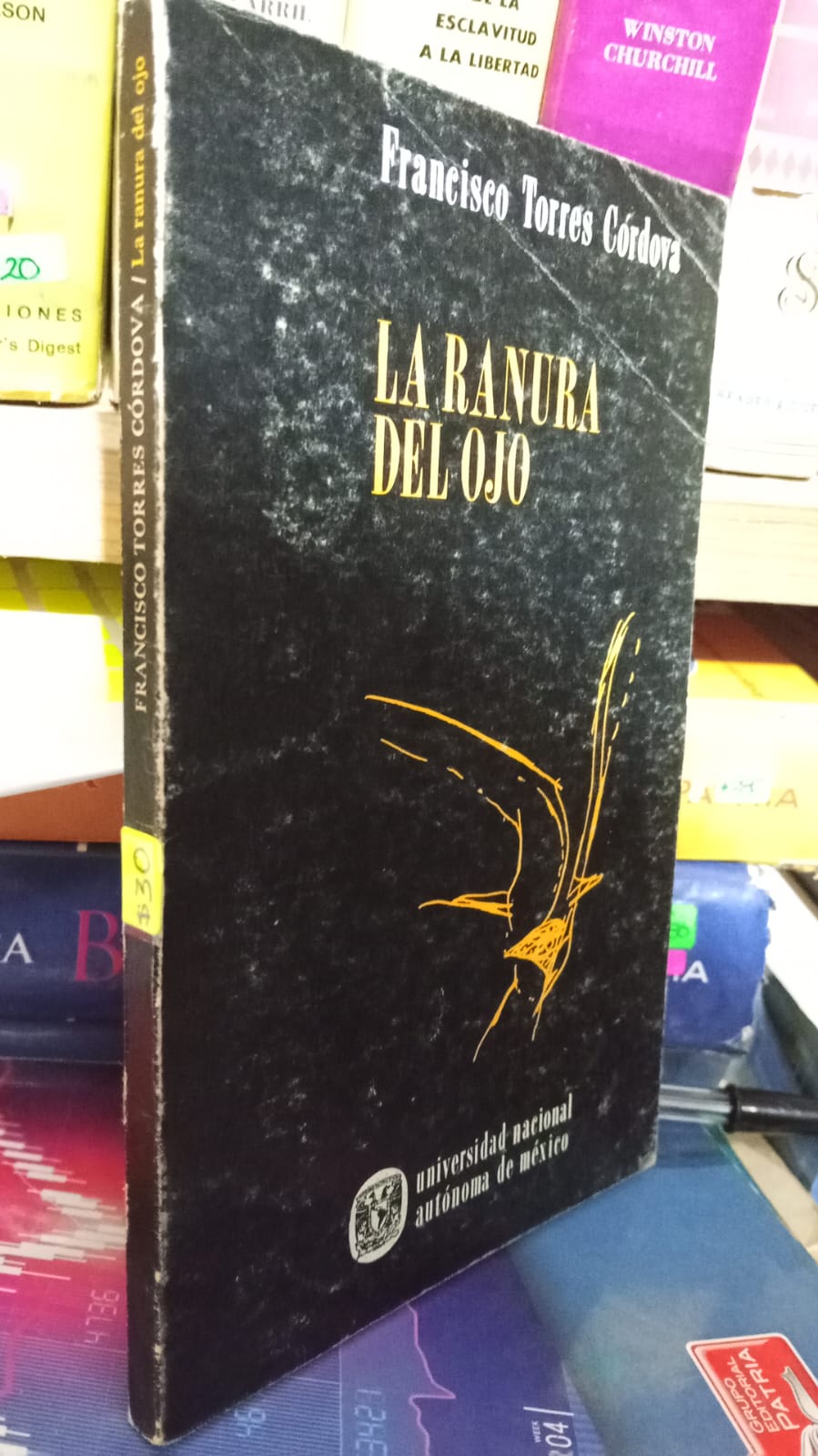 LA RANURA DEL OJO DE FRANCISCO TORRE CORDOVA USADO NOVELA JUAREZ 507