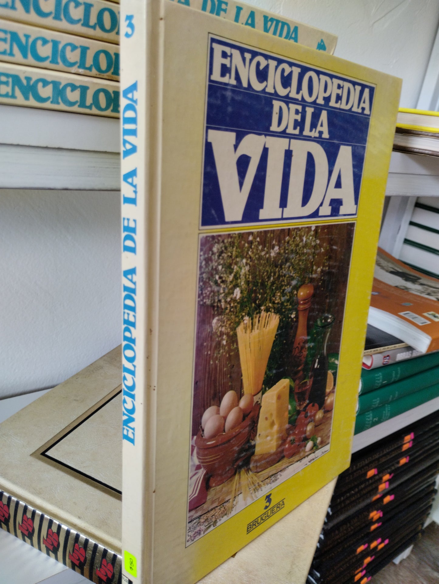 ENCICLOPEDIA DE LA VIDA 3 USADO PSICOLOGIA JUAREZ 515