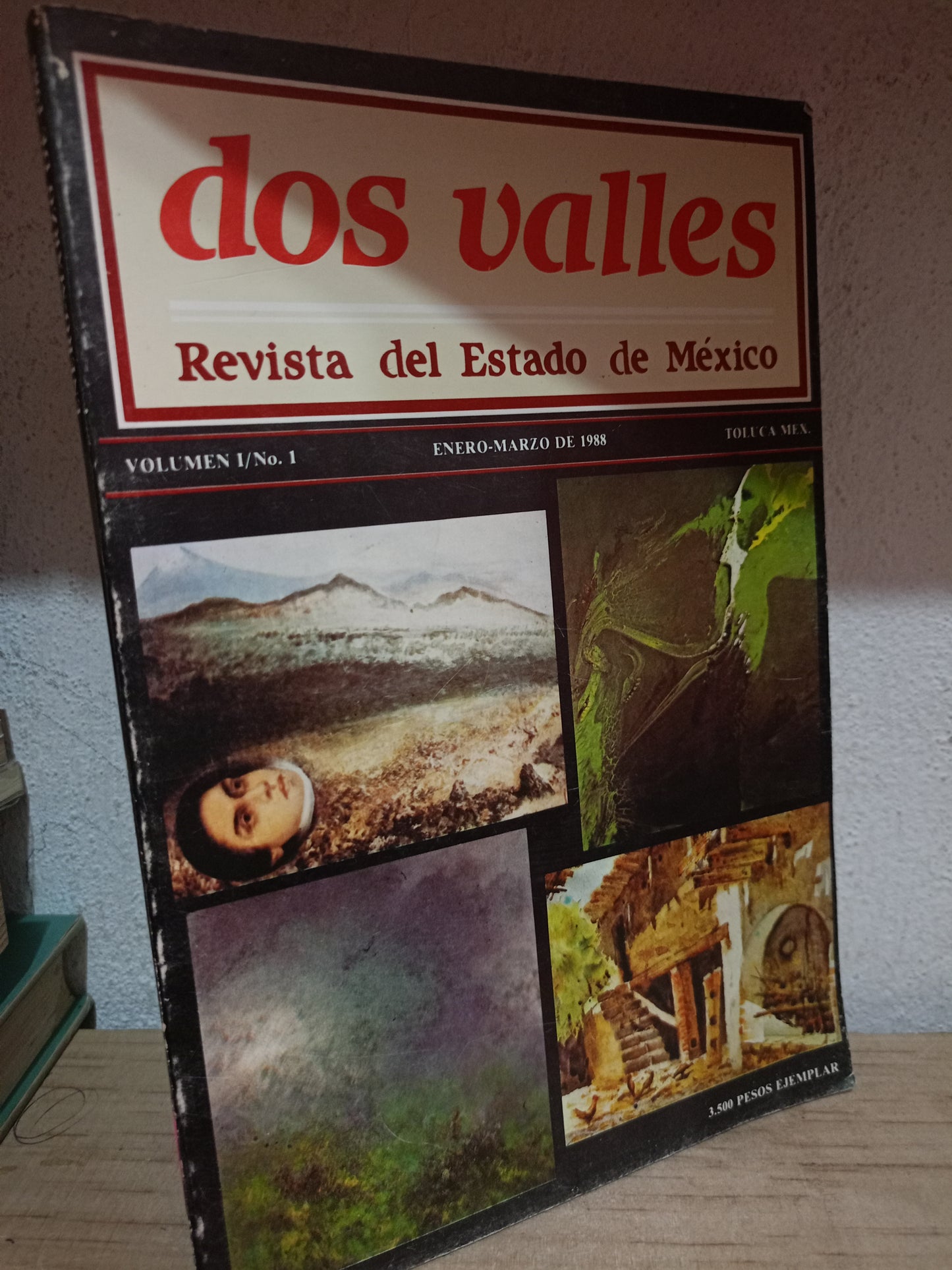 DOS VALLES REVISTA DEL ESTADO DE MEXICO USADO HISTORIA LITERARIO 305