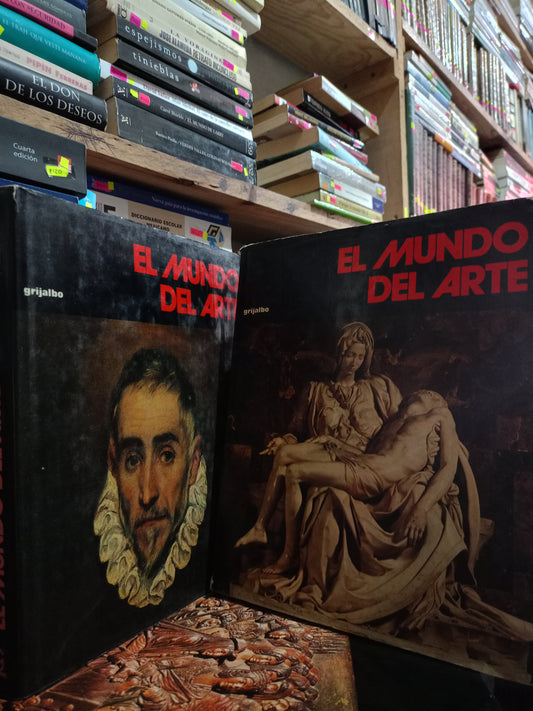 EL MUNDO DEL ARTE USADO ARTE LITERARIO 305