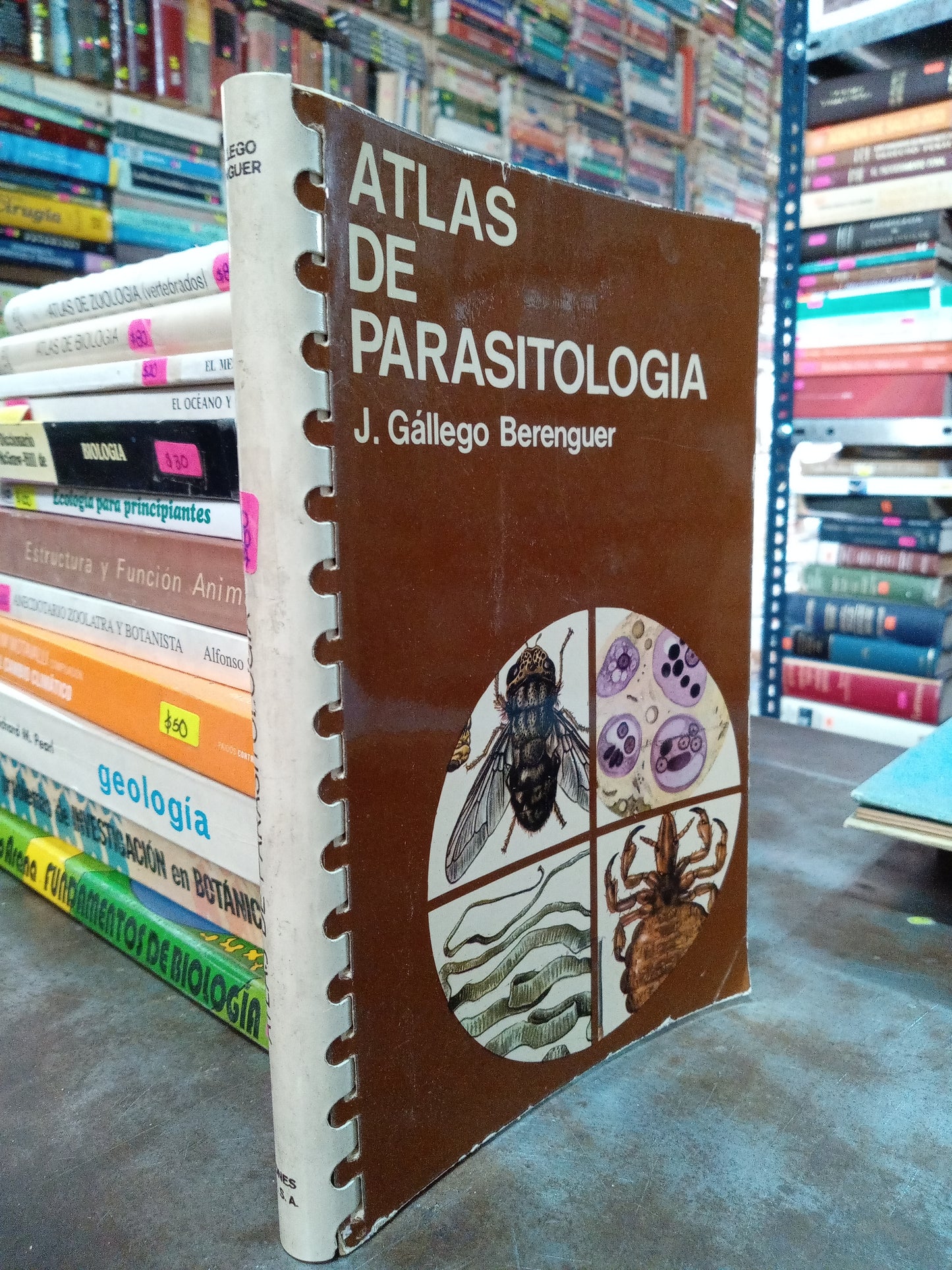 ATLAS DE PARASITOLOGIA POR J GALLEGO BERENGUER USADO BIOLOGIA ALDAMA