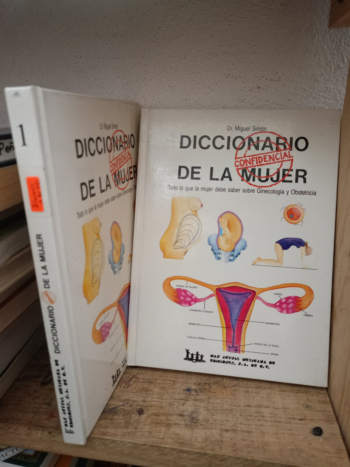DICCIONARIO DE LA MUJER POR DR. MIGUEL SIMON USADO SALUD LITERARIO 305