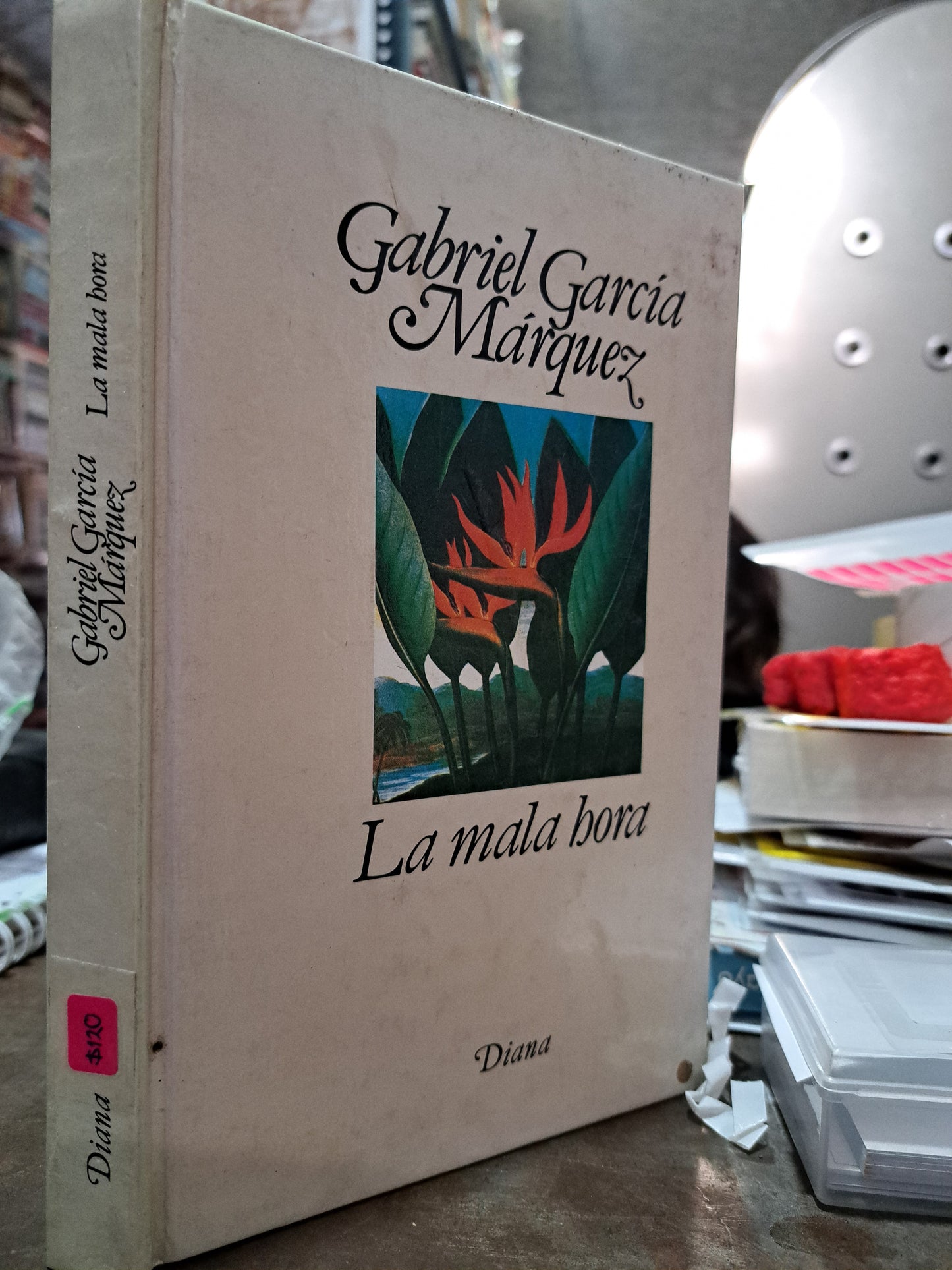 LA MALA HORA GABRIEL GARCÍA MARQUEZ USADO POESÍA ALDAMA