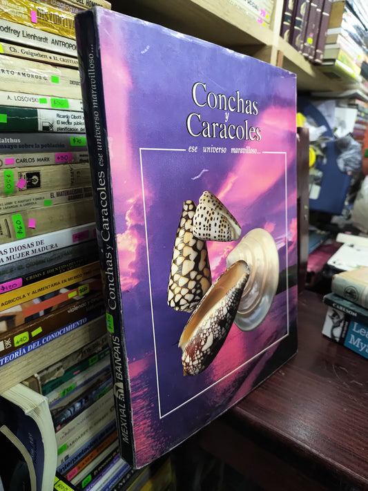 CONCHAS Y CARACOLES POR LOURDES SUAREZ DIEZ USADO ARTES LITERARIO 207