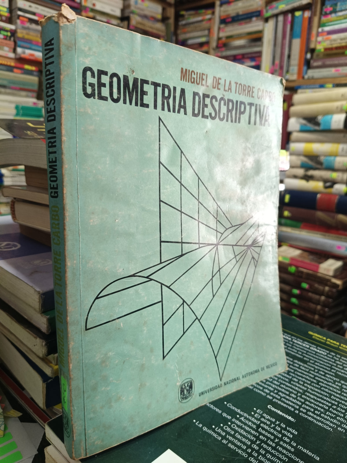 GEOMETRIA DESCRIPTIVA POR MIGUEL DE LA TORRE CARBO USADO MATEMÁTICAS JUAREZ 507