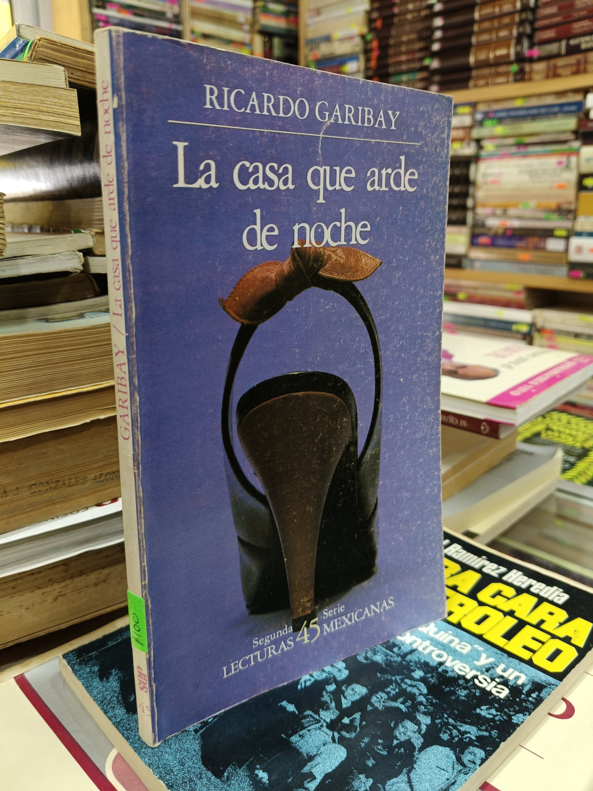 LA CASA QUE ARDE DE NOCHE POR RICARDO GARIBAY USADO NOVELA JUAREZ 515