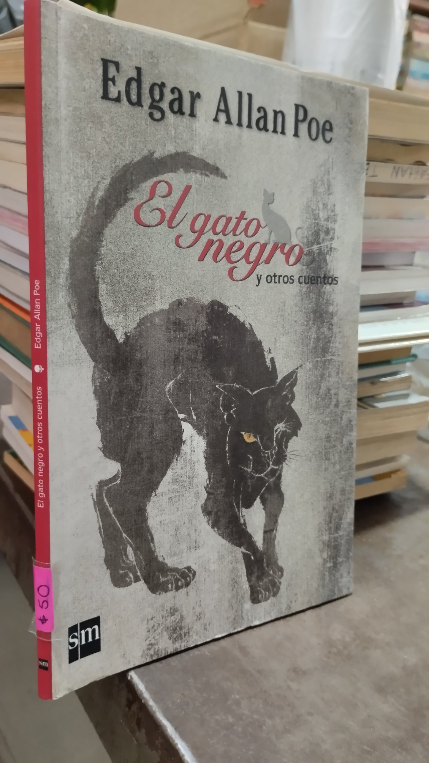 EL GATO NEGRO POR EDGAR ALLAN POE LIBRO USADO INFANTIL ALDAMA