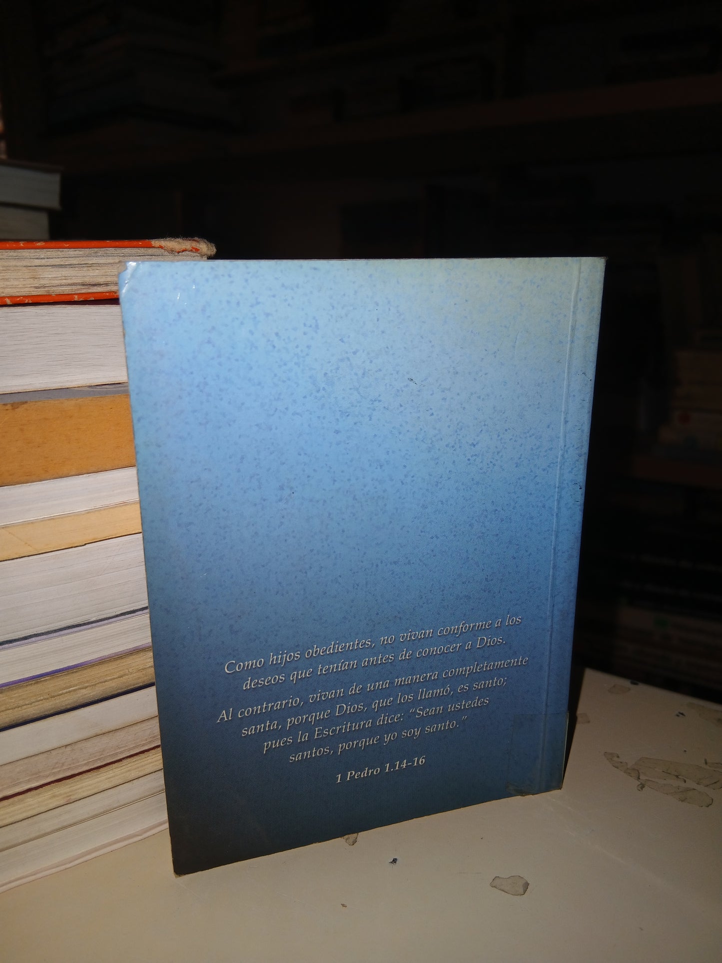 NUEVO TESTAMENTO: PARA SER SANTOS. DIOS HABLA HOY USADO RELIGIÓN LITERARIO 207