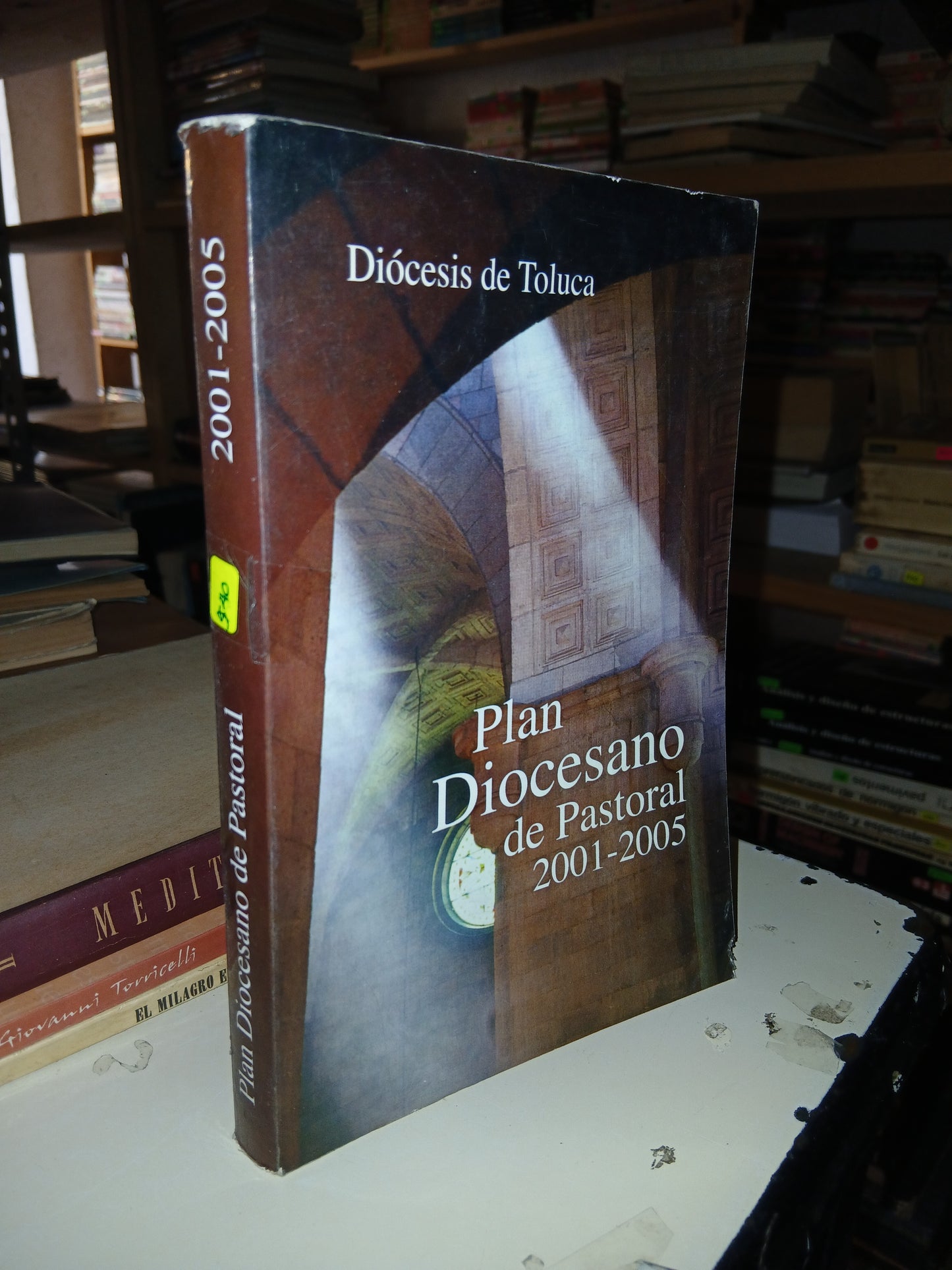 PLAN DIOCESANO DE PASTORAL 2001-2005 POR DIÓCESIS DE TOLUCA USADO RELIGIÓN LITERARIO 207