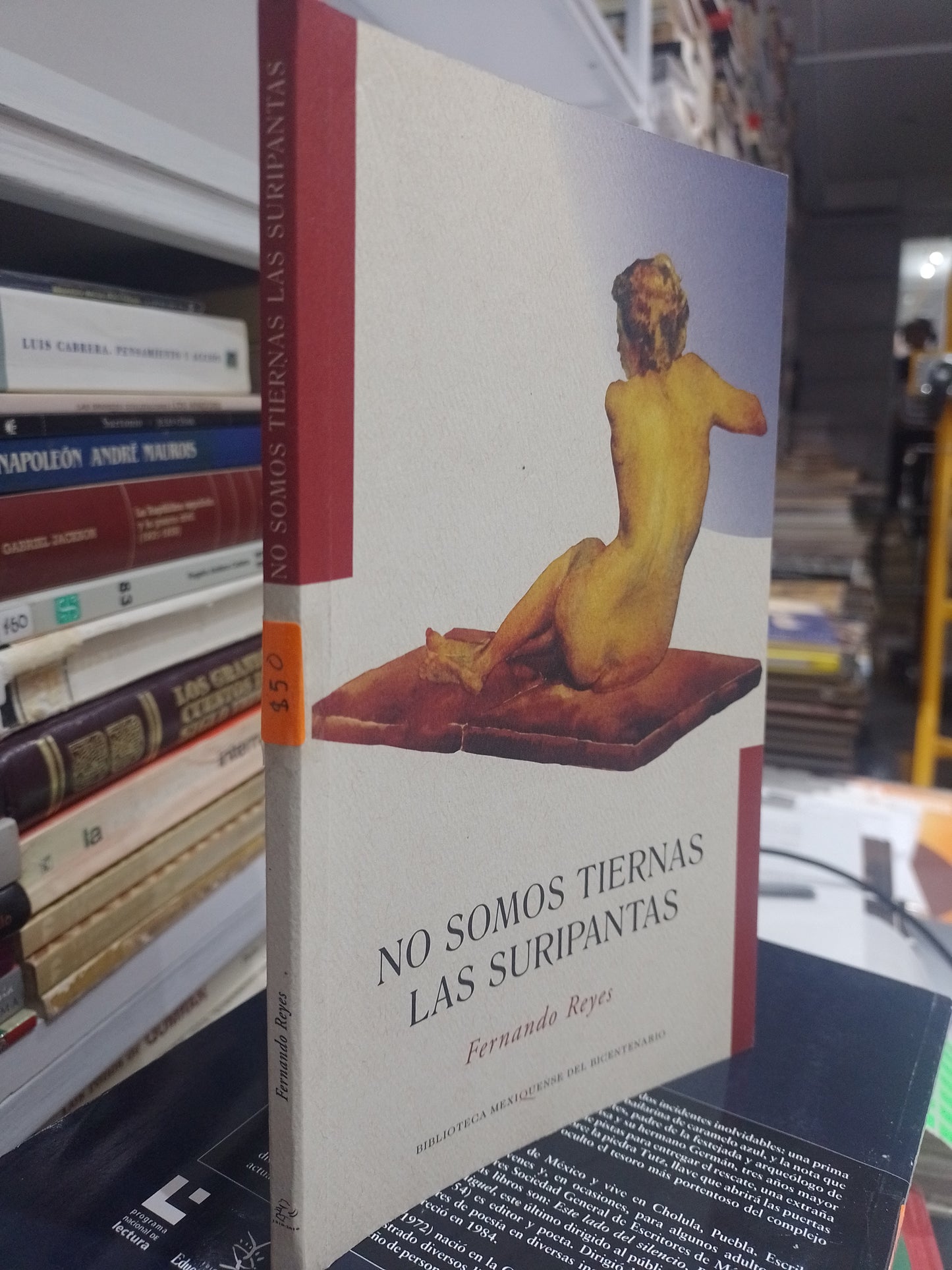 NO SOMOS TIERNAS LAS SURIPANTAS POR FERNANDO REYES USADO NOVELA JUAREZ 515