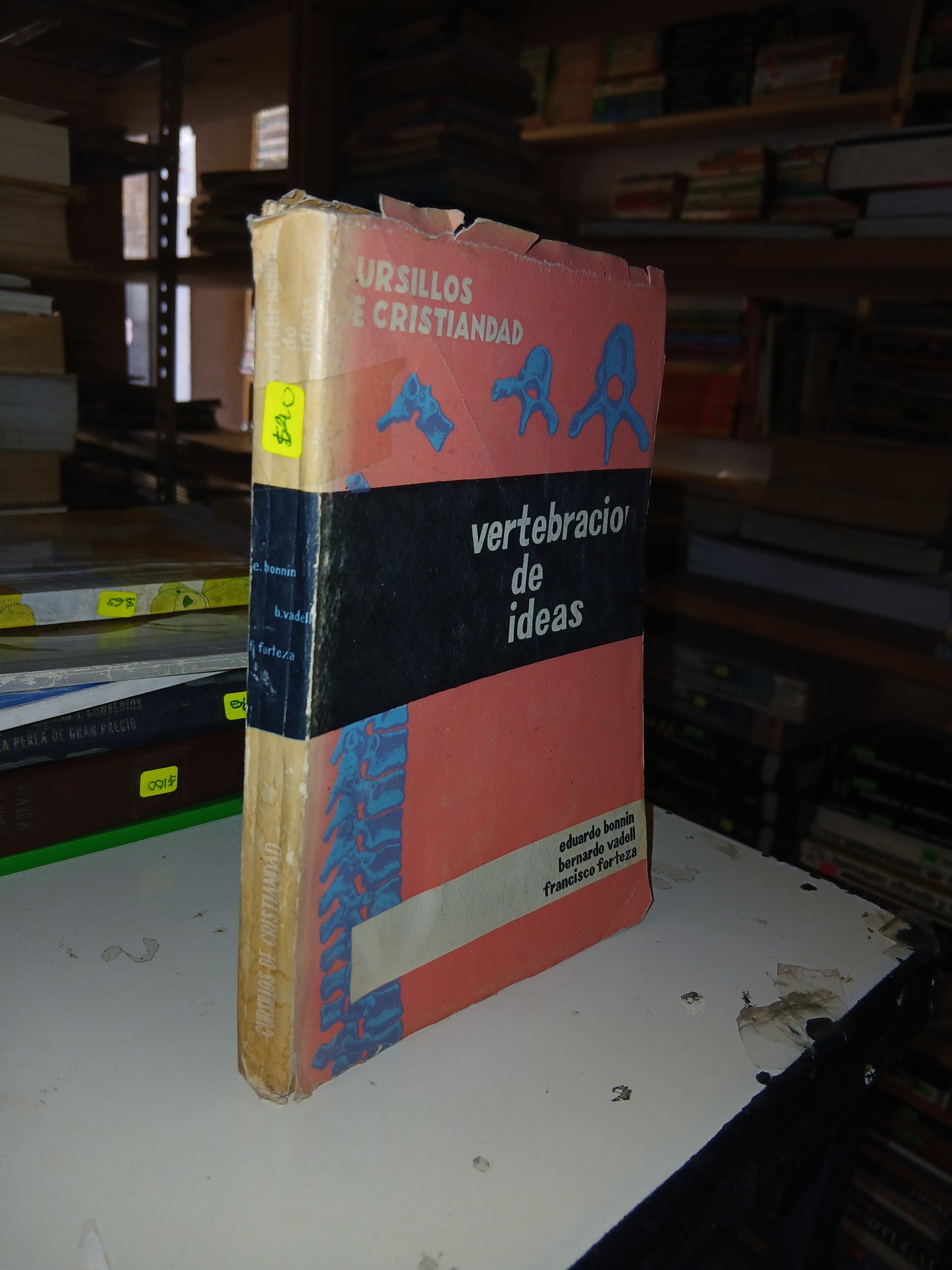 VERTEBRACIÓN DE IDEAS POR EDUARDO BONNIN, BERNARDO VADELL Y FRANCISCO FORTEZA USADO RELIGIÓN LITERARIO 207