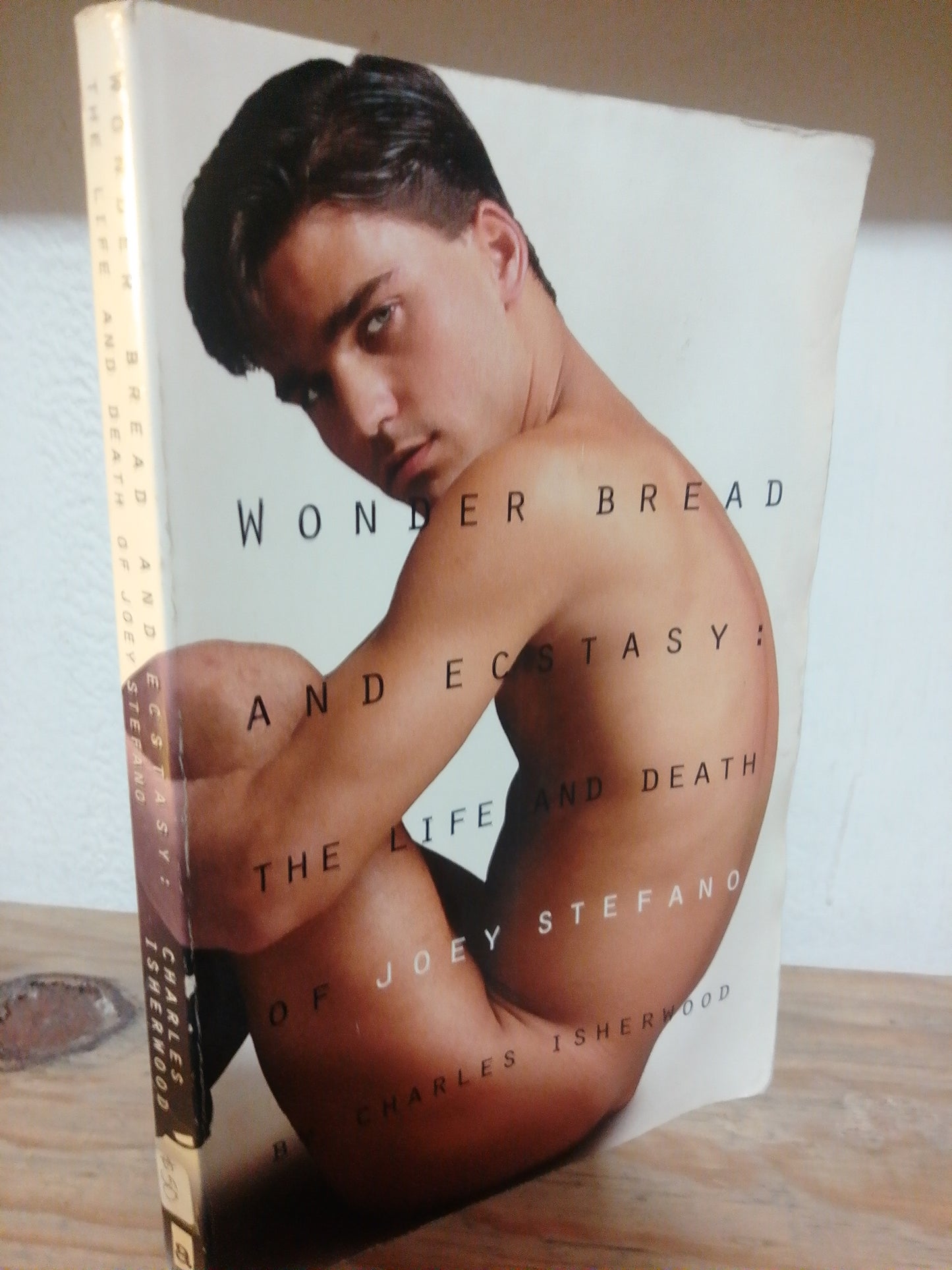 WONDER BREAD AND ECSTASY THE LIFE AND DEATH OF JOEY STEFANO POR CHARLES ISHERWOOD USADO IDIOMAS JUAREZ