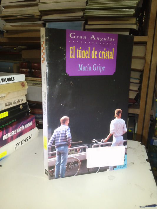 EL TUNEL DE CRISTAL POR MARÍA GRIPE USADO NOVELA LITERARIO 207