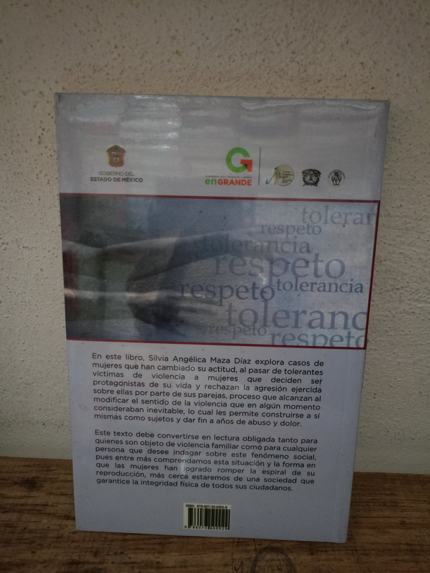 LOS SENTIDOS DE LA VIOLENCIA INTRAFAMILIAR: DE LA TOLERANCIA A SU RECHAZO POR SILVIA ANGÉLICA MAZA DÍAZ NUEVO PSICOLOGÍA LITERARIO 305