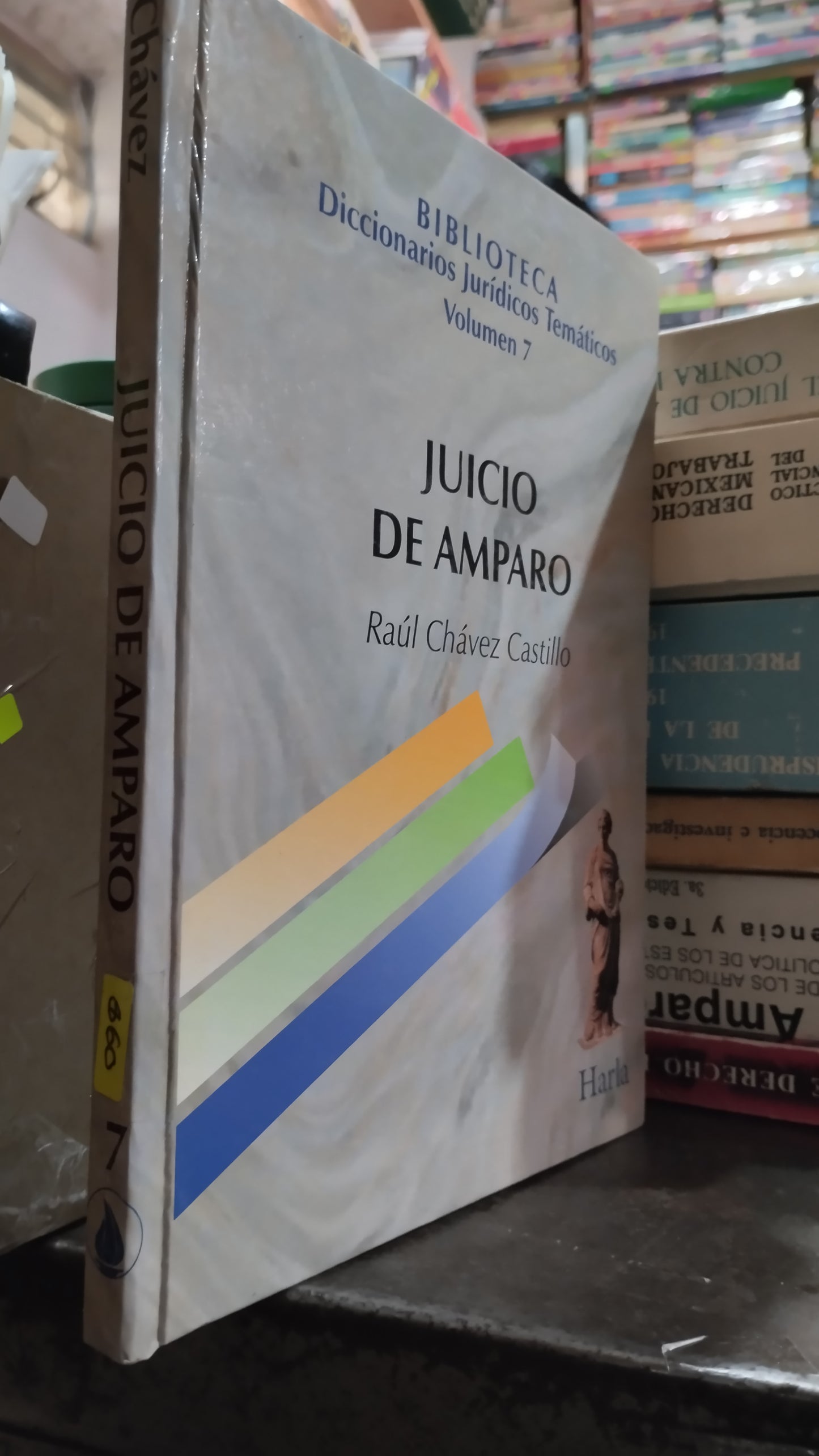 JUICIO DE AMPARO POR RAUL CHAVEZ CASTILLO LIBRO USADO DERECHO ALDAMA
