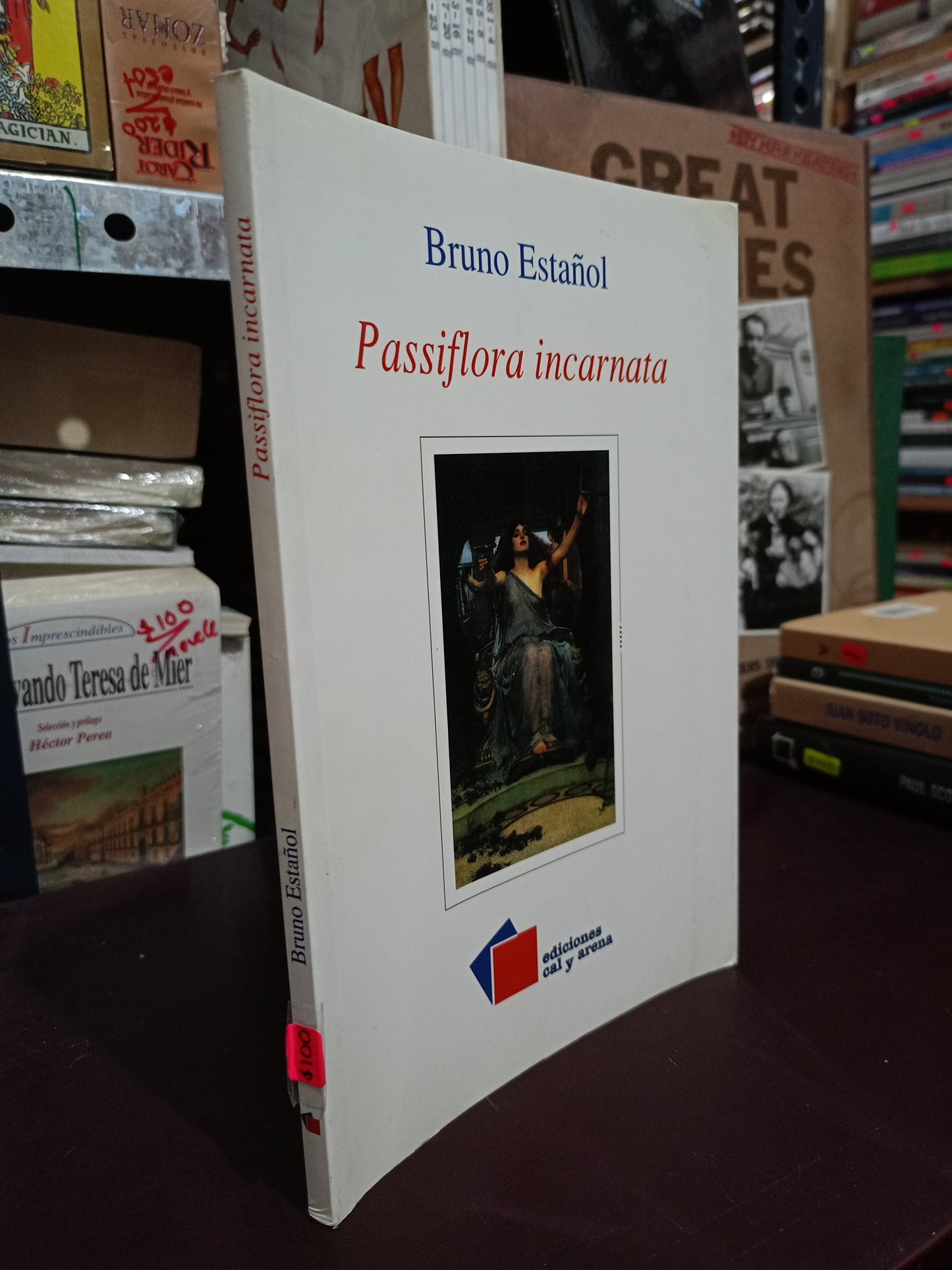 PASSIFLORA INCARNATA POR BRUNO ESTAÑOL USADO NOVELA LITERARIO 305