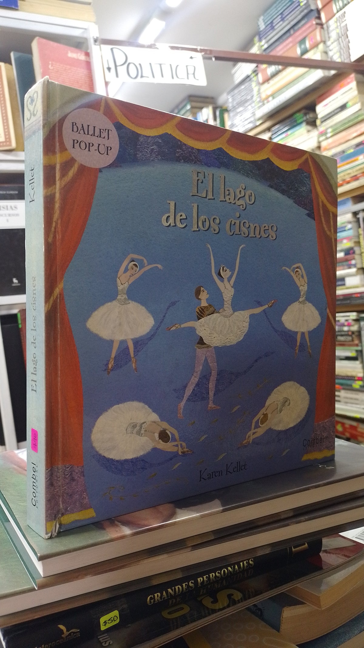 EL LAGO DE LOS CISNES POR KAREN KALLET USADO INFANTIL JUAREZ 507