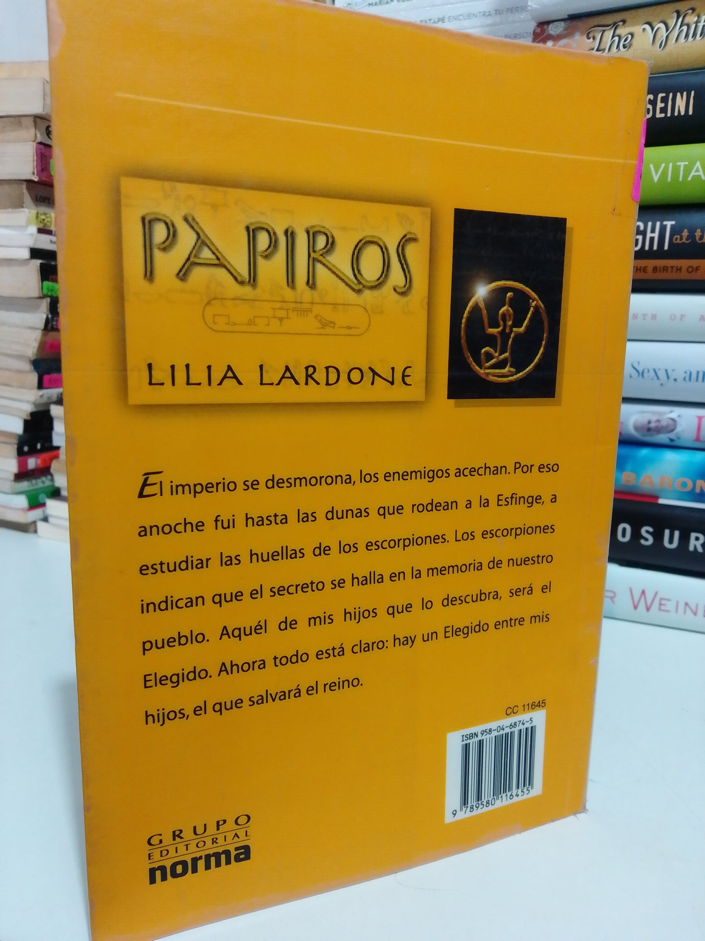 PAPIROS POR LILIANA LARTÓN USADO NOVELA JUÁREZ