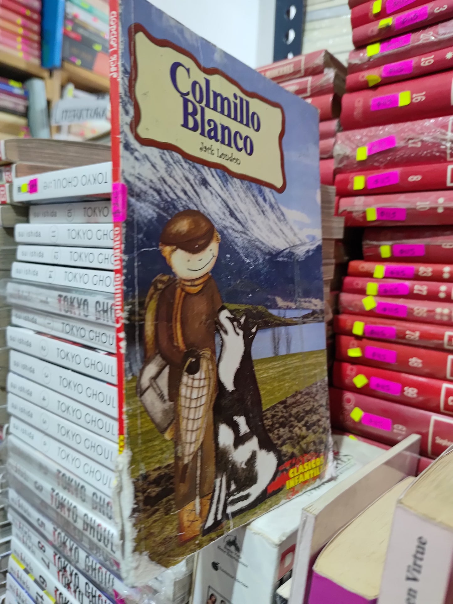 COLMILLO BLANCO POR JACK LONDON USADO INFANTILES LITERARIO 305