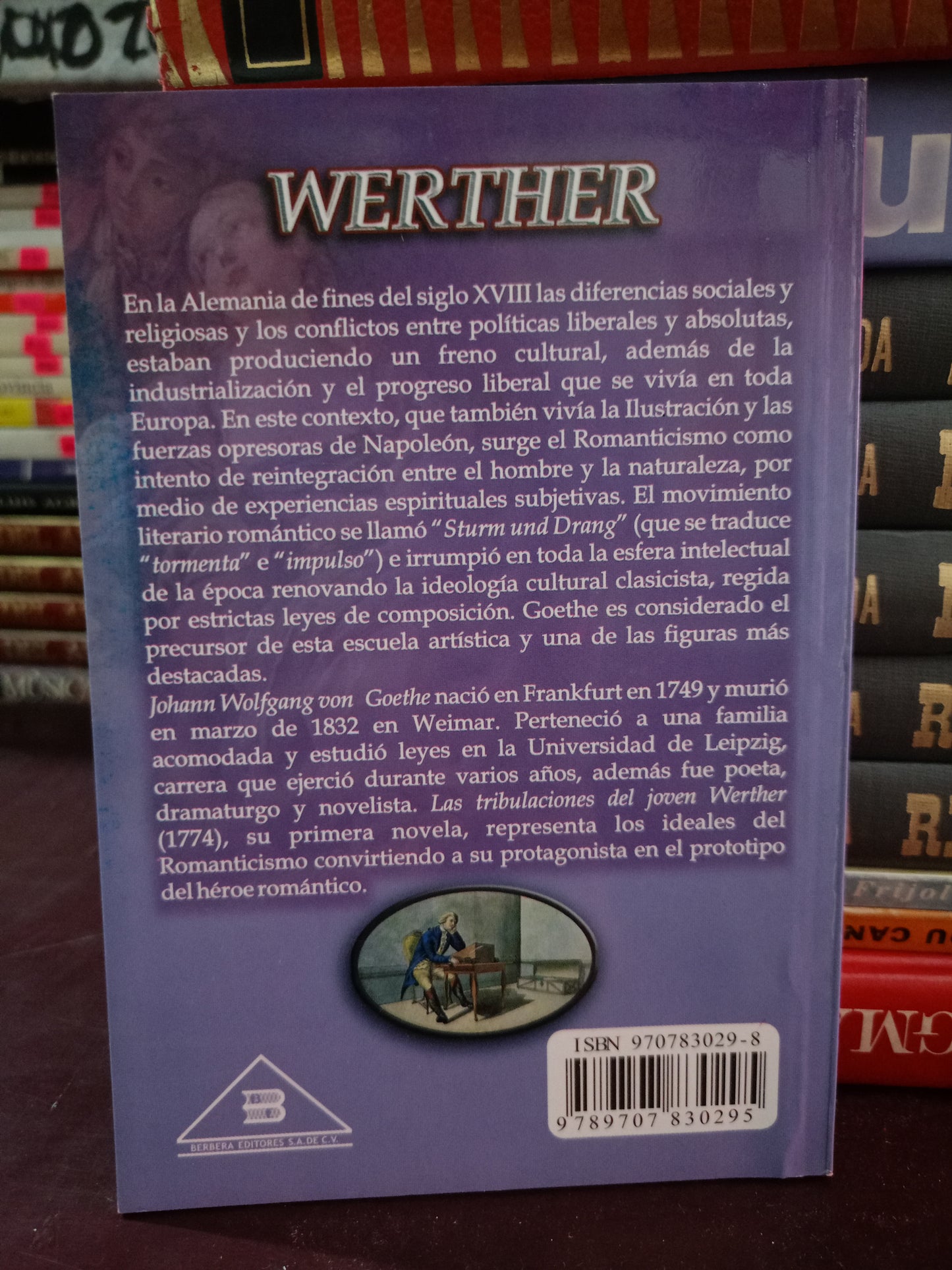 WERTHER POR J.W. GOETHE USADO NOVELA LITERARIO 305