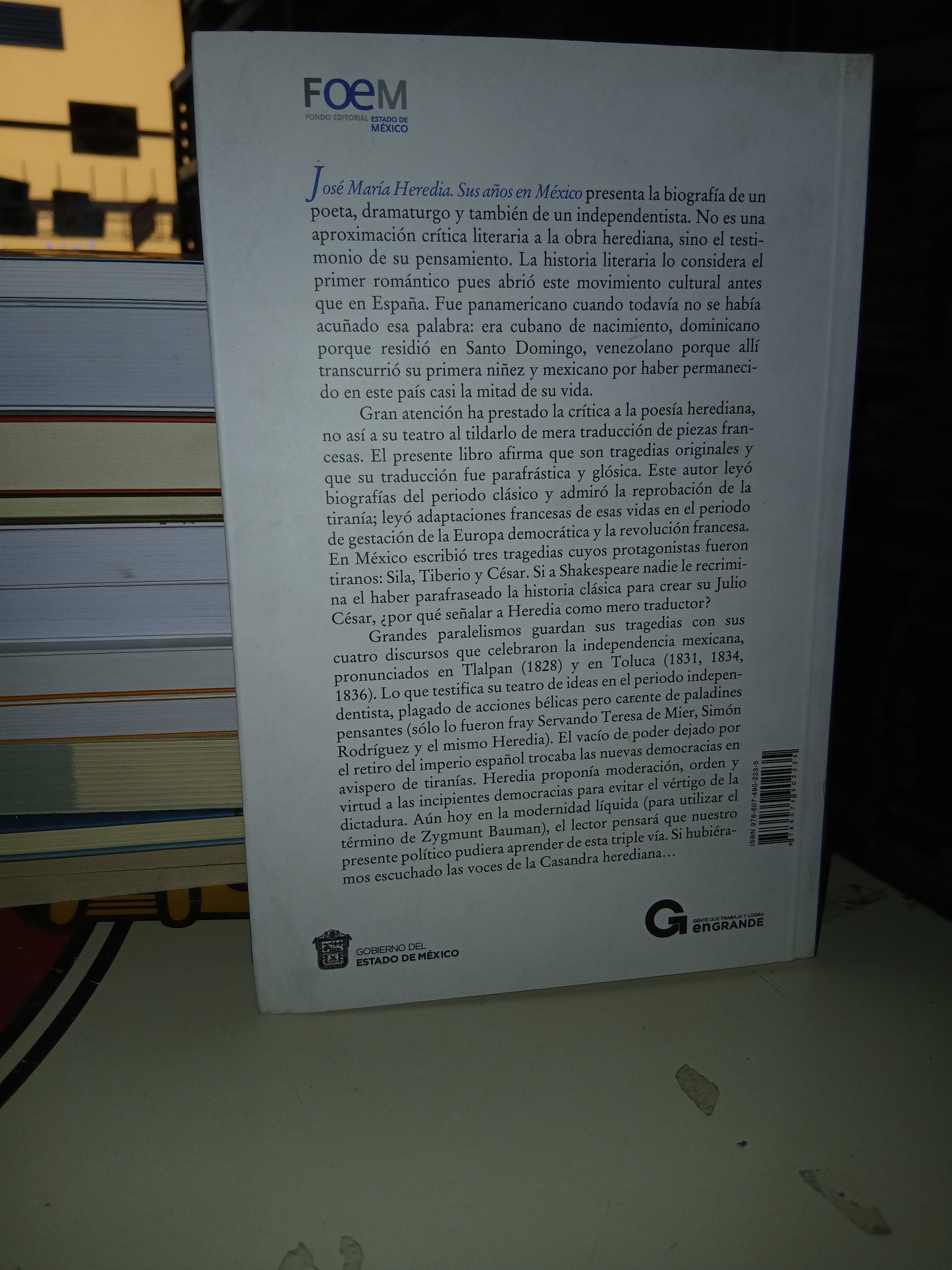 JOSÉ MARÍA HEREDIA SUS AÑOS EN MÉXICO POR GUILLERMO SCHMIDHUBER DE LA MORA USADO NOVELA LITERARIO 207