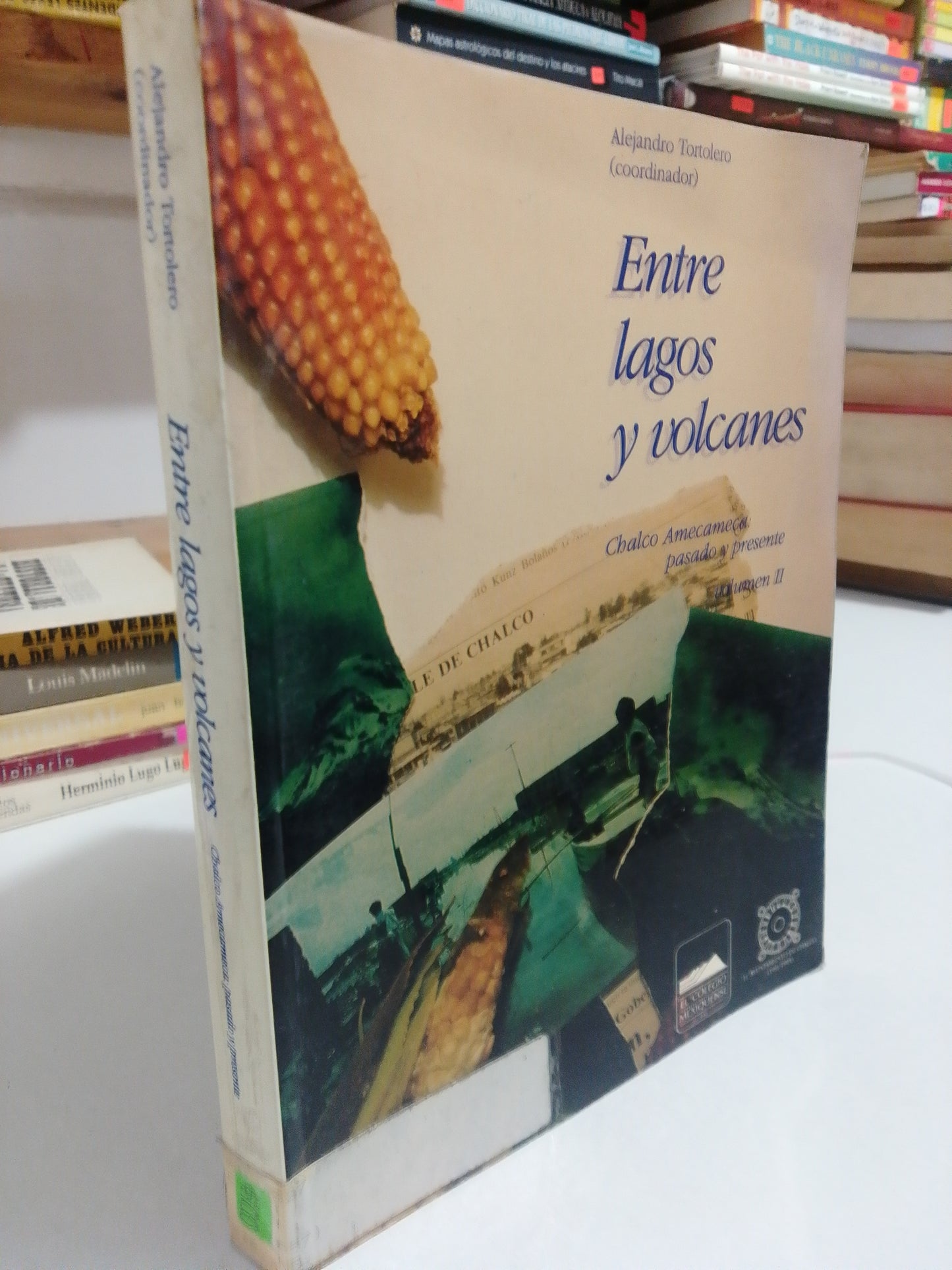 ENTRE LAGOS Y VOLCANES POR ALEJANDRO TORTELERO USADO HISTORIA JUAREZ