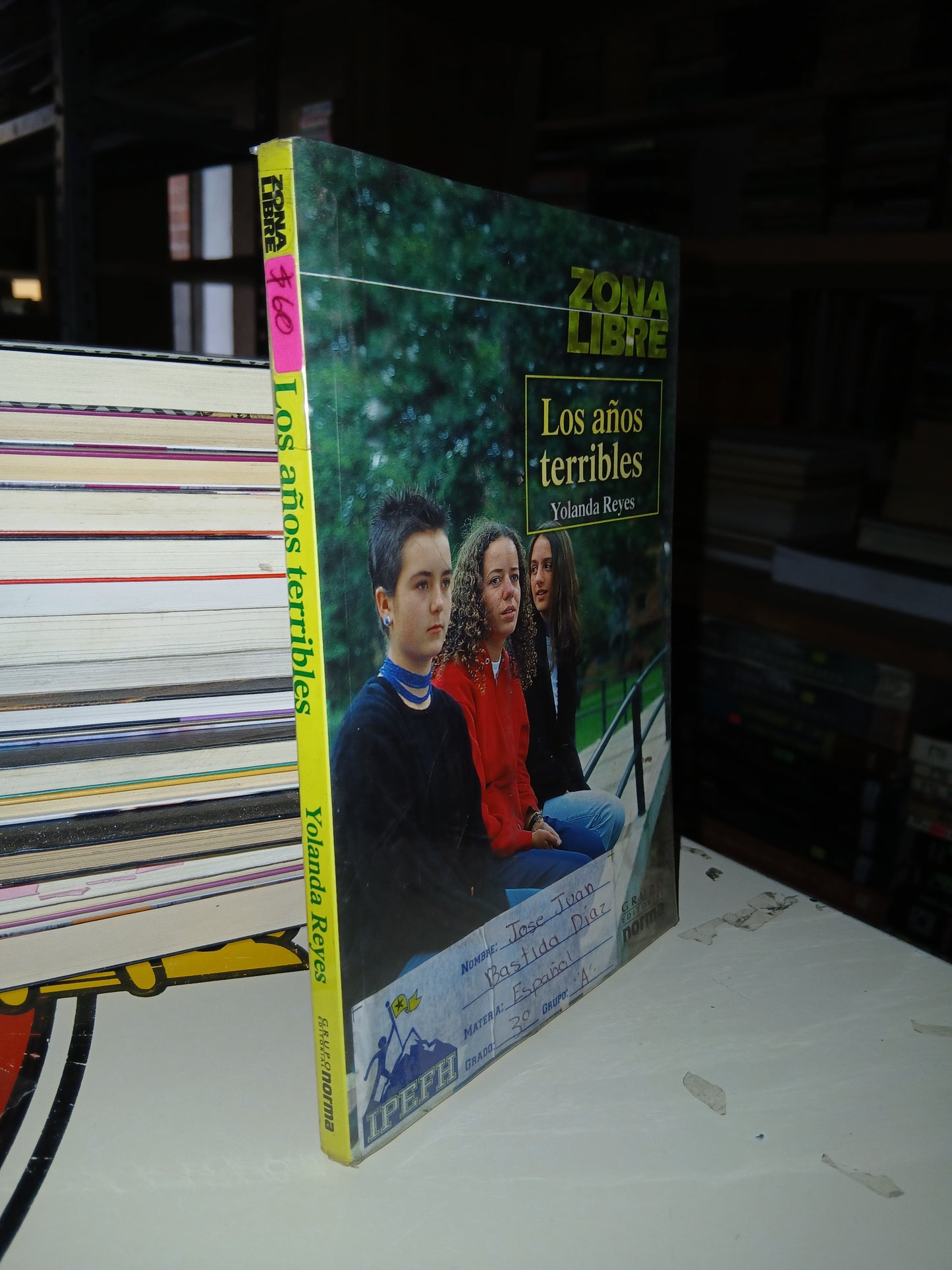 LOS AÑOS TERRIBLES POR YOLANDA REYES USADO NOVELA LITERARIO 207