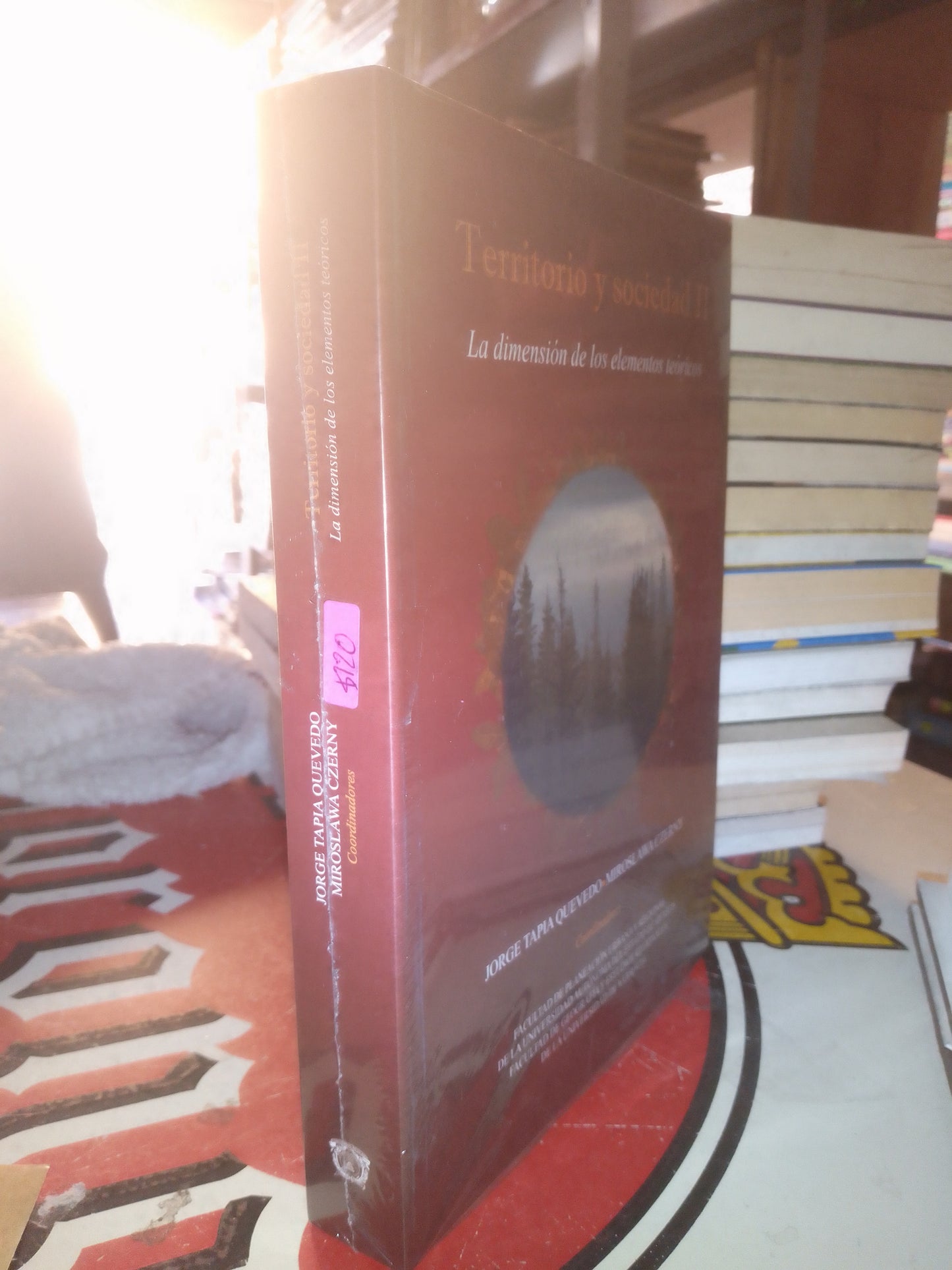 TERRITORIO Y SOCIEDAD II POR JORGE TAPIA QUEVEDO USADO POLÍTICA LITERARIO 207