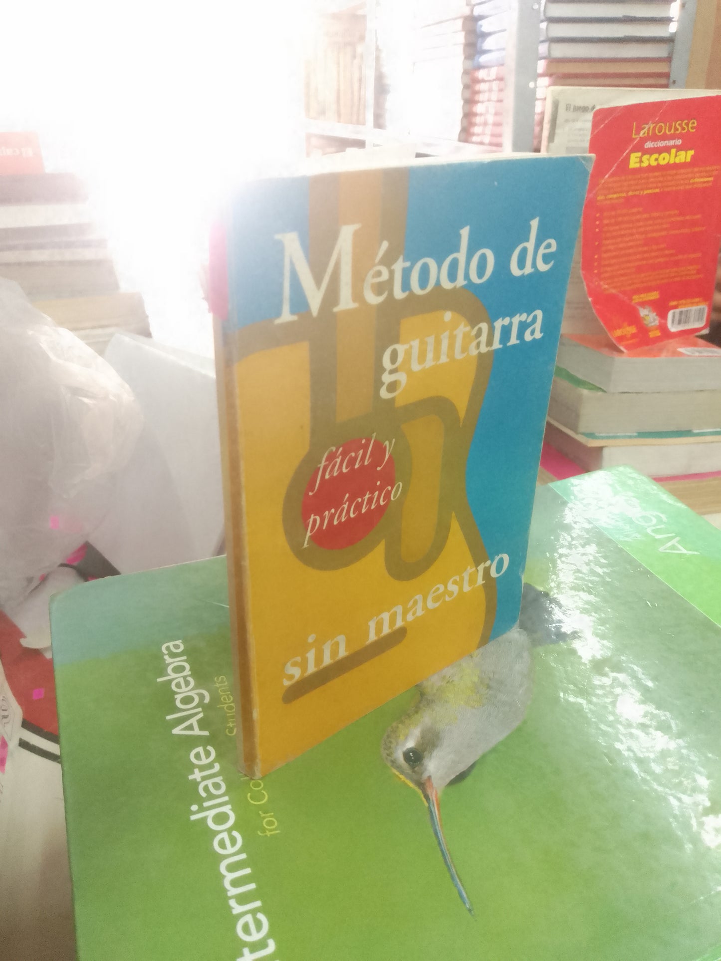MÉTODO DE GUITARRA SIN MAESTRO USADO ARTE LITERARIO 207