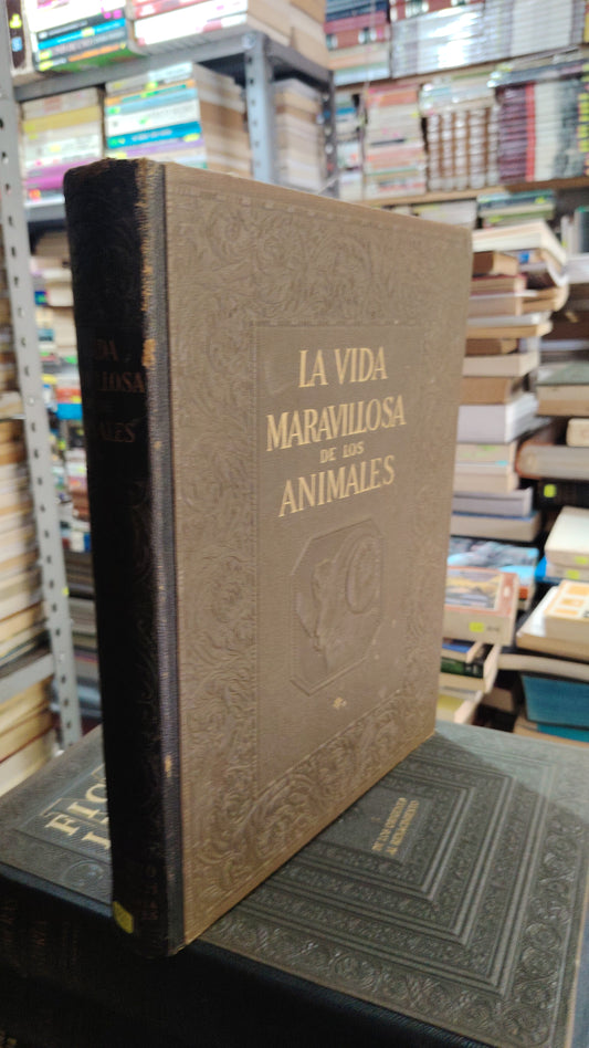LA VIDA MARAVILLOSA DE LOS ANIMALES SIN AUTOR USADO ARTE JUAREZ 507