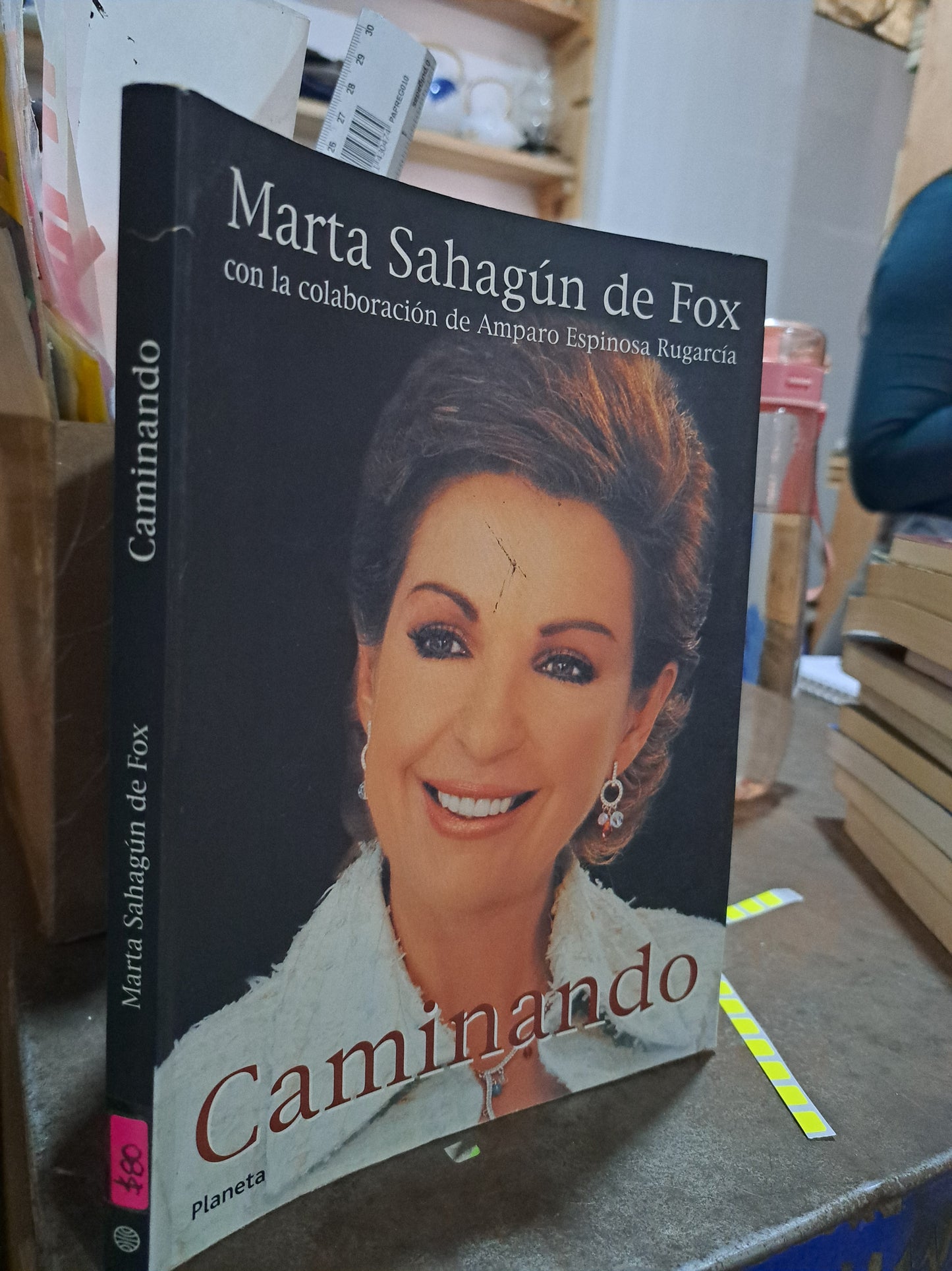 CAMINANDO MARTA SAHAGUN DE FOX USADO POLÍTICA ALDAMA