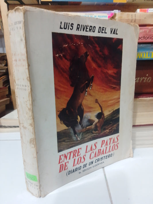 ENTRE LAS PATAS DE LOS CABALLOS POR LUIS RIVERO DEL VAL USADO NOVELA JUAREZ