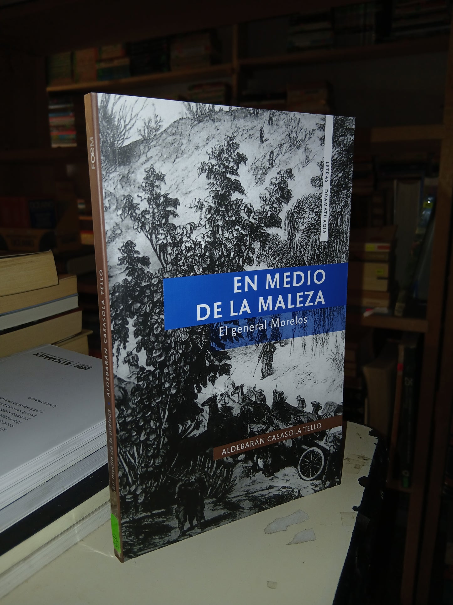 EN MEDIO DE LA MALEZA POR ALDEBARÁN CASASOLA TELLO USADO TEATRO LITERARIO 207
