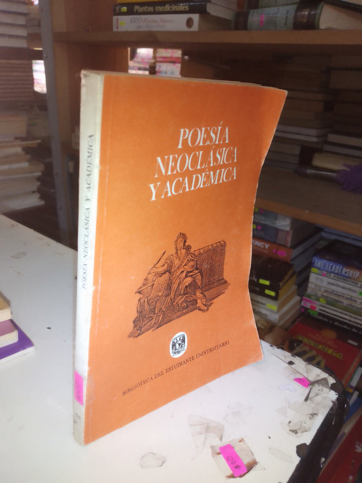 POESÍA NEOCLÁSICA Y ACADÉMICA SELECCIÓN DE OCTAVIANO VALDÉS USADO POESÍA LITERARIO 207