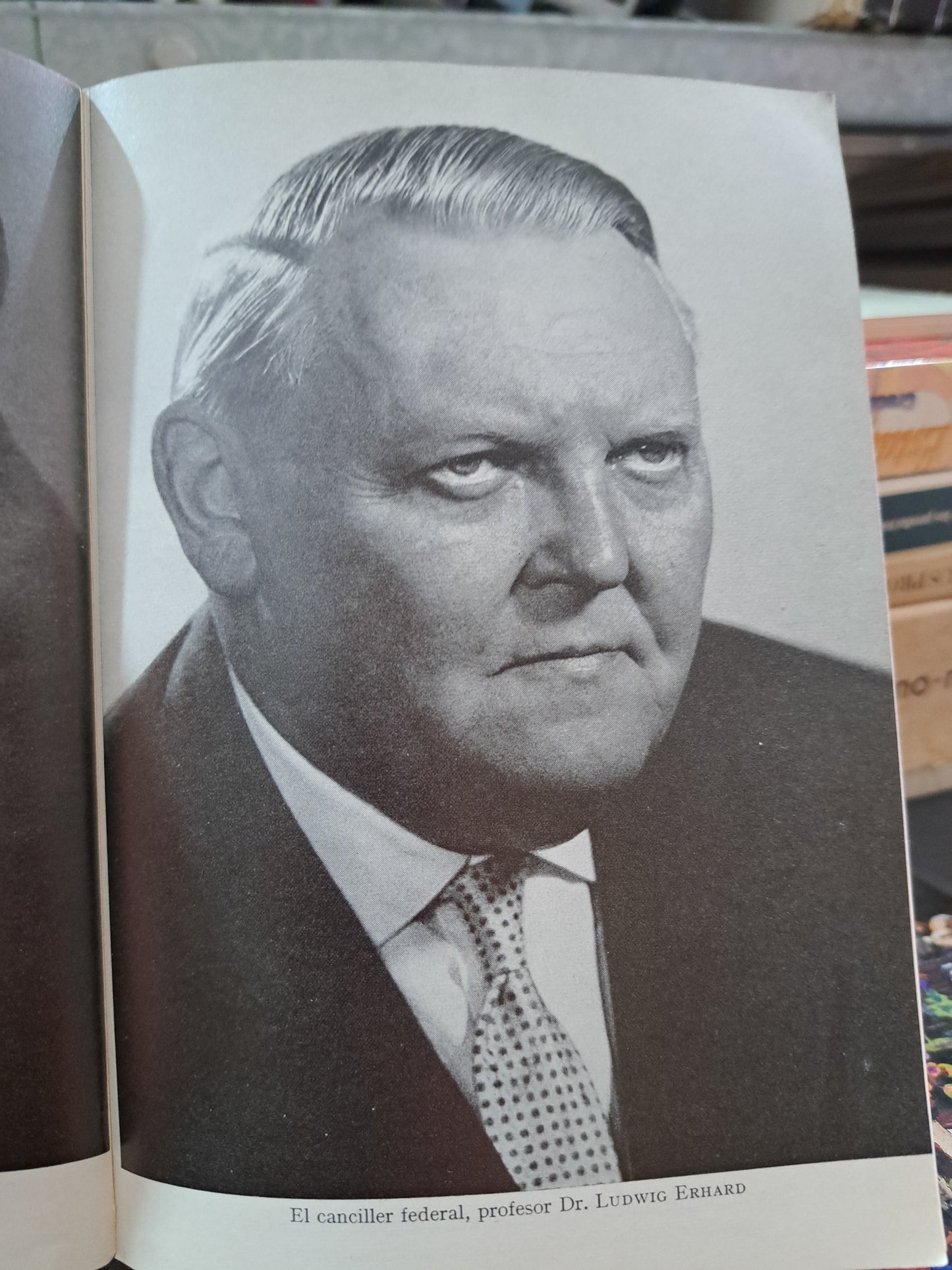 LA REALIDAD ALEMANA DR. HELMUT ARNTZ USADO HISTORIA LITERARIO 305