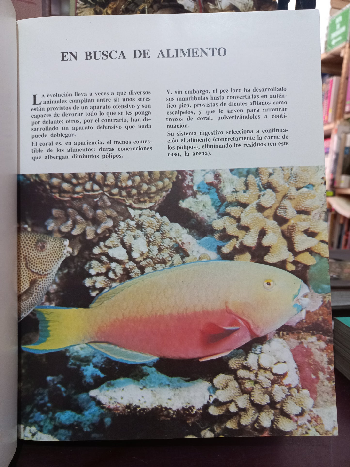 MUNDO SUBMARINO ENCICLOPEDIA COUSTEAU USADO BIOLOGÍA LITERARIO 305