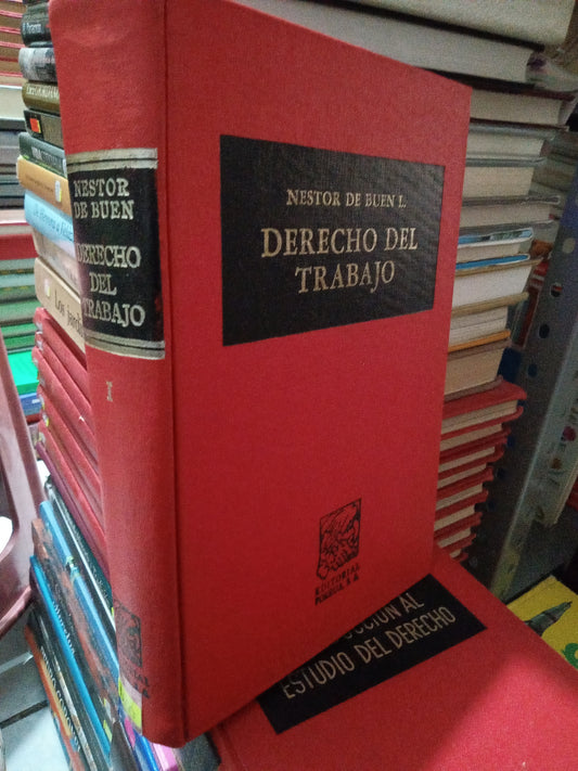 DERECHO DEL TRABAJO POR NESTOR DE BUEN L USADO DERECHO JUÁREZ