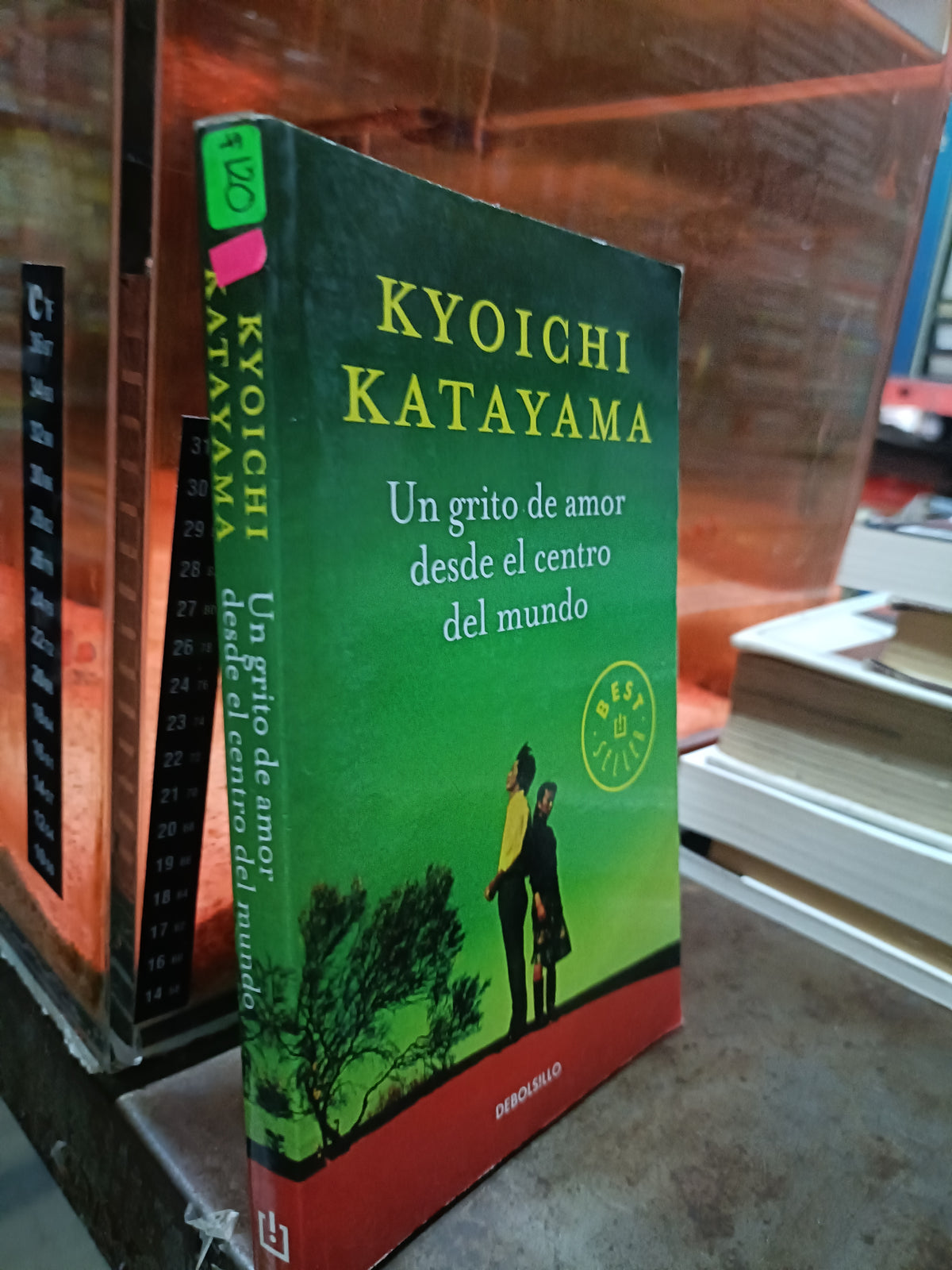 UN GRITO DE AMOR DESDE EL CENTRO DEL MUNDO POR KYOICHI KATAYAMA USADO NOVELA ALDAMA
