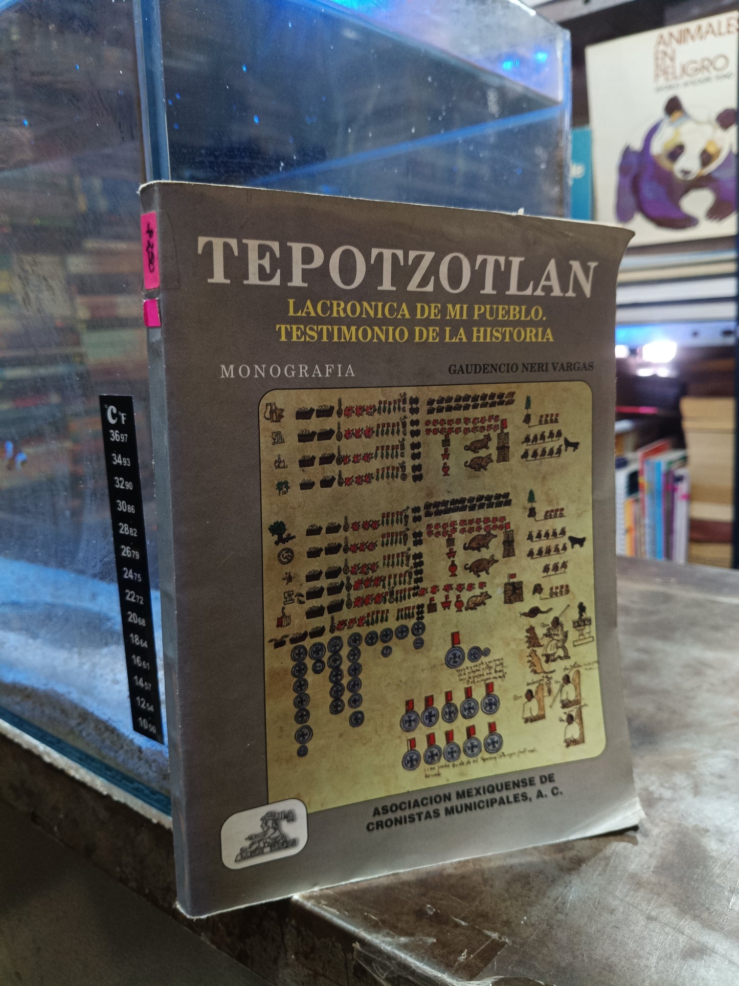 TEPOTZOTLAN LA CRONICA DE MI PUEBLO TESTIMONIO DE LA HISTORIA MONOGRAFIA POR GAUDENCIO NERI VARGAS USADO HISTORIA ALDAMA