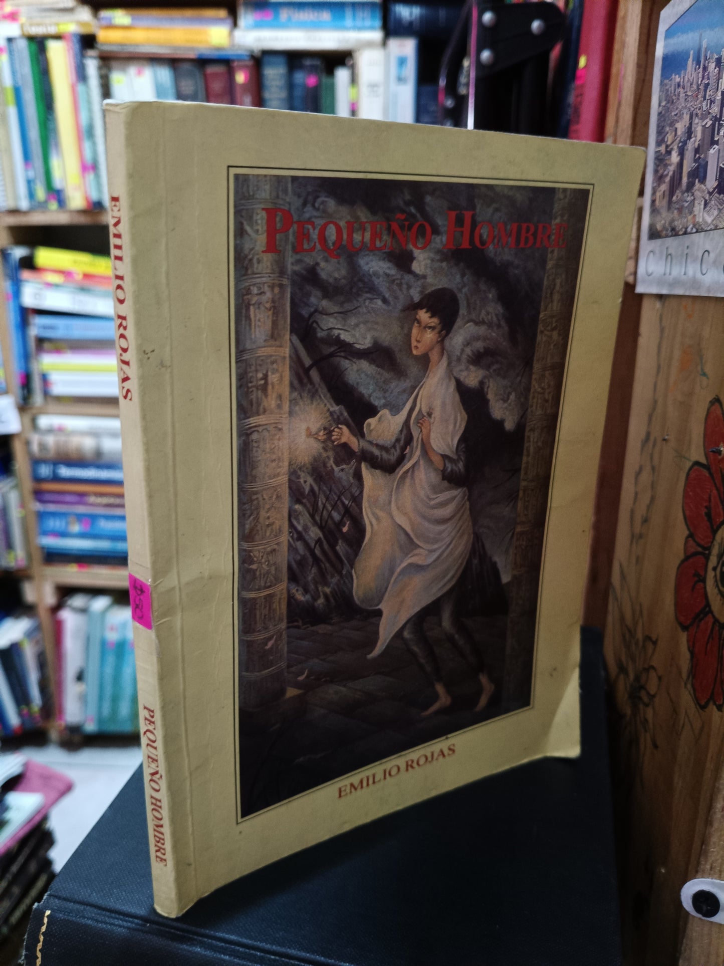PEQUEÑO HOMBRE EMILIO ROJAS USADO NOVELA LITERARIO 305