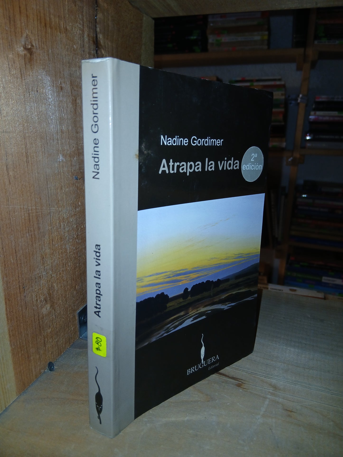 ATRAPA LA VIDA POR NADINE GORDIMER USADO SUPERACIÓN PERSONAL LITERARIO 207