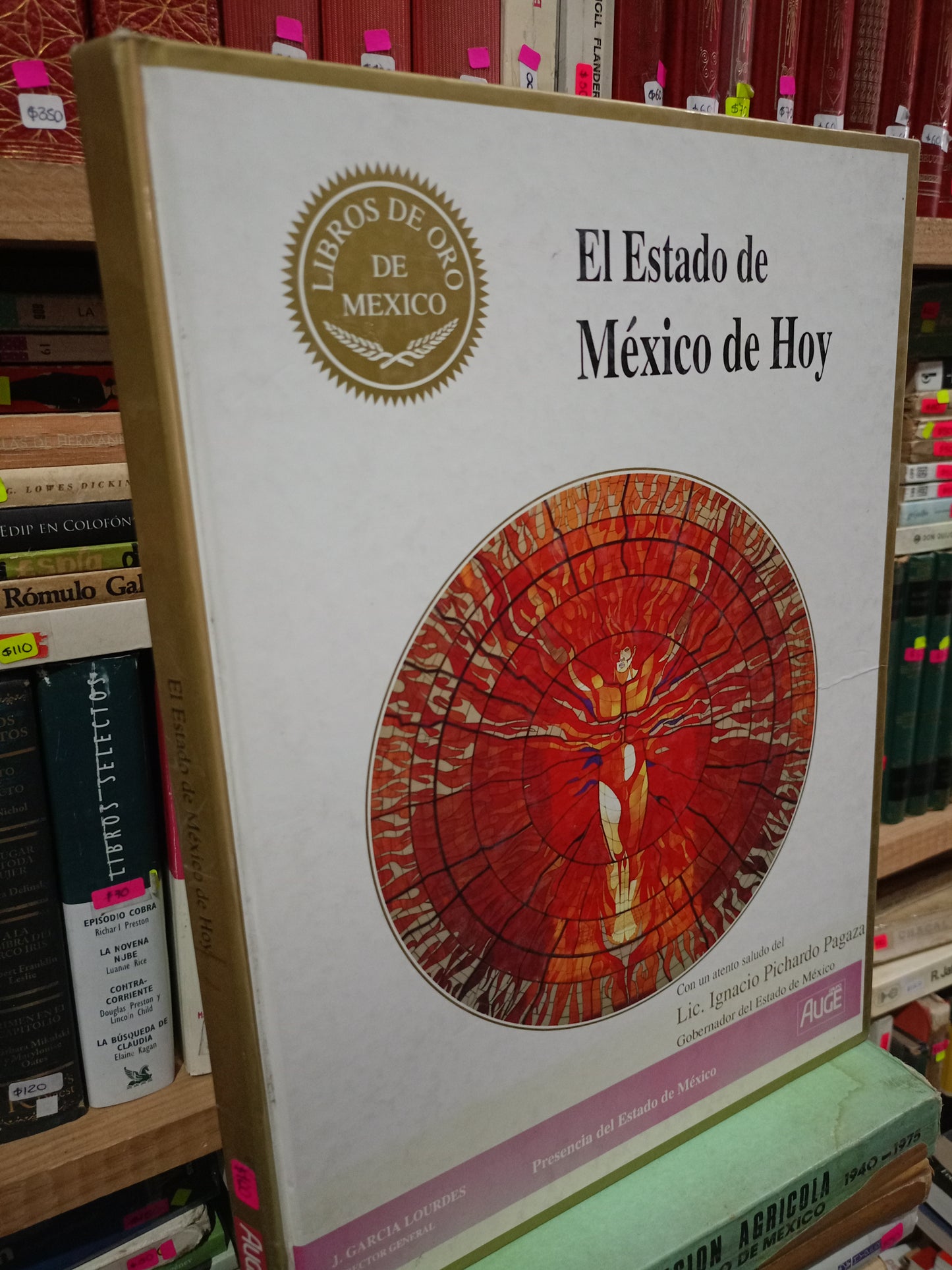 EL ESTADO DE MEXICO DE HOY USADO ARTE LITERARIO 305