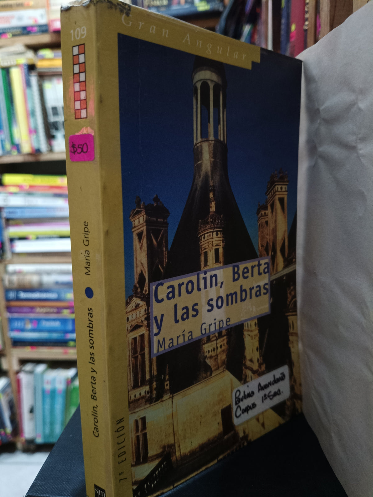 CAROLIN BERTA Y LAS SOMBRAS MARIA GRIPE USADO NOVELA LITERARIO 305