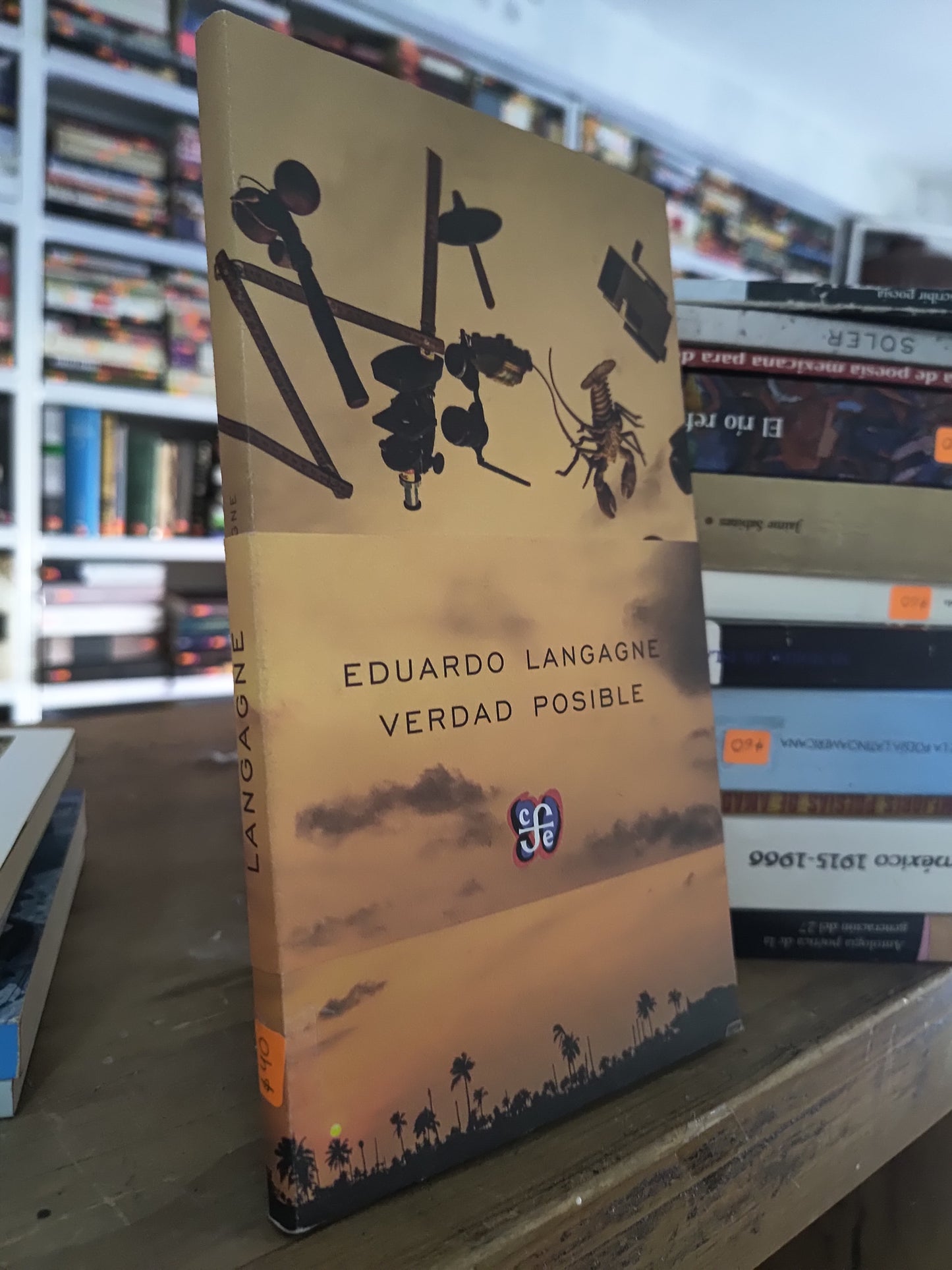 VERDAD POSIBLE POR EDUARDO LANGAGNE USADO POESIA JUAREZ 515