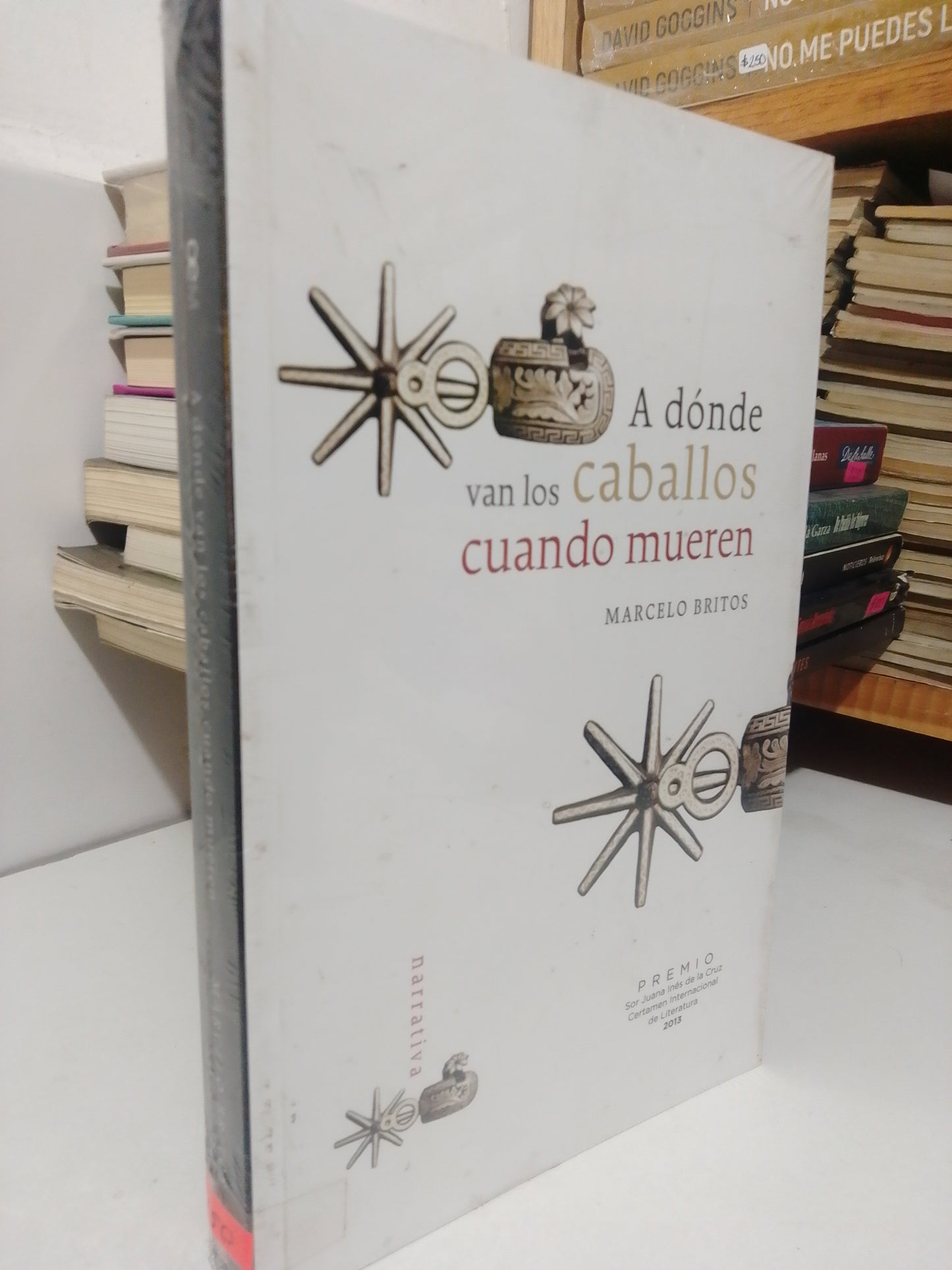 A DÓNDE VAN LOS CABALLOS CUANDO MUEREN POR MARCELO BRITOS USADO NOVELA JUÁREZ