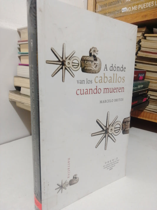 A DÓNDE VAN LOS CABALLOS CUANDO MUEREN POR MARCELO BRITOS USADO NOVELA JUÁREZ